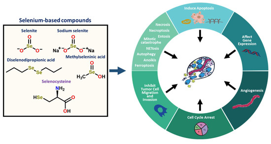 Therapeutic Benefits of Selenium in Hematological Malignancies