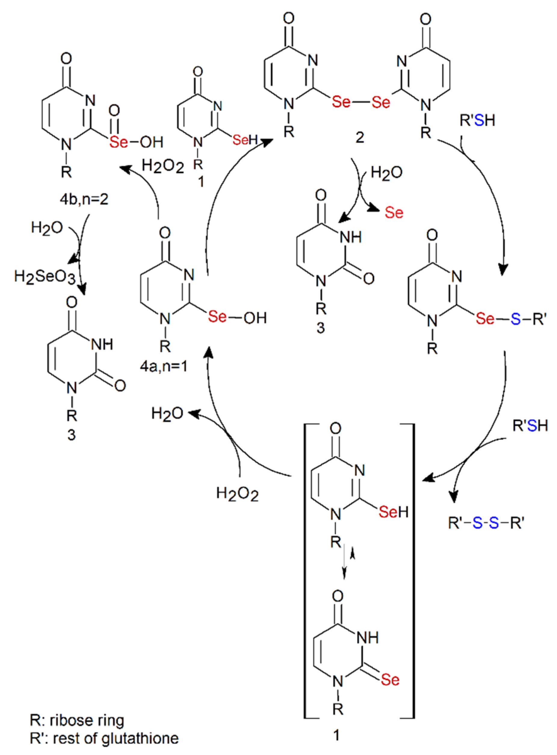 Ijms 23 07973 sch003