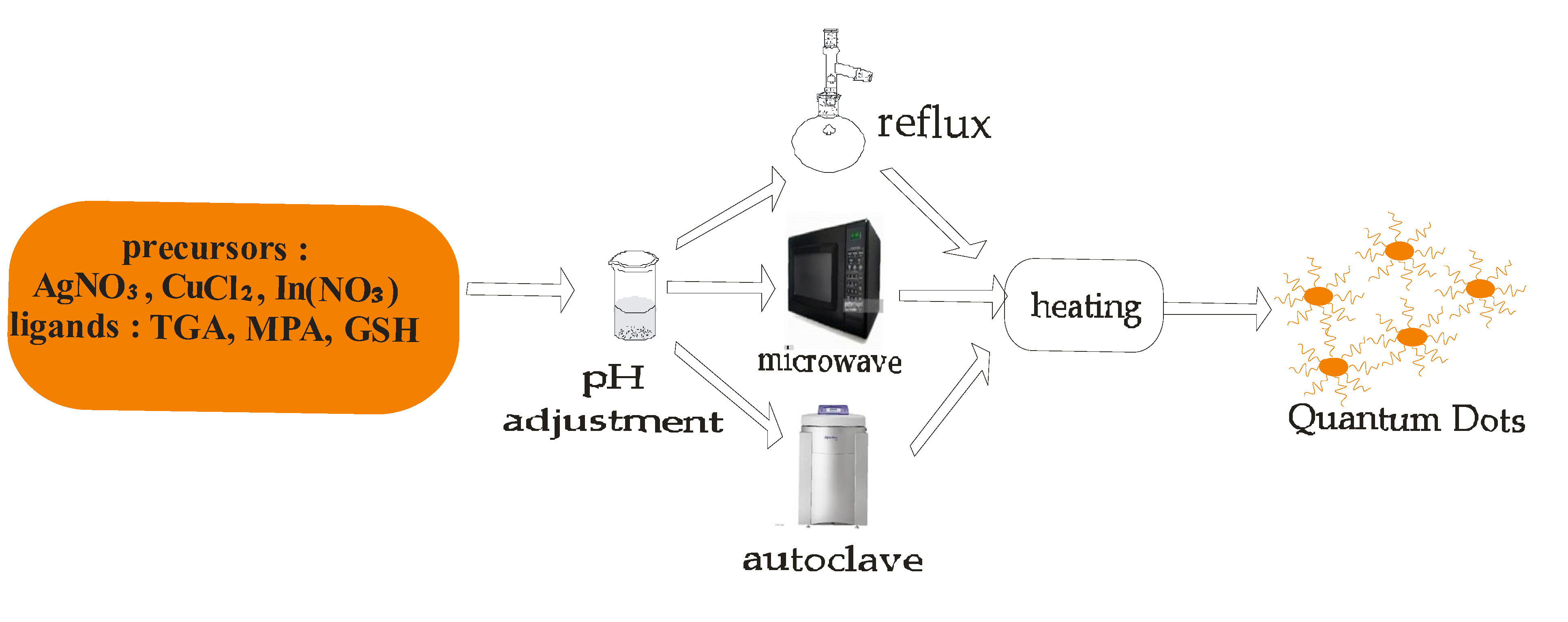 Ijms 23 07980 g008 Ijms 23 07980 g008
