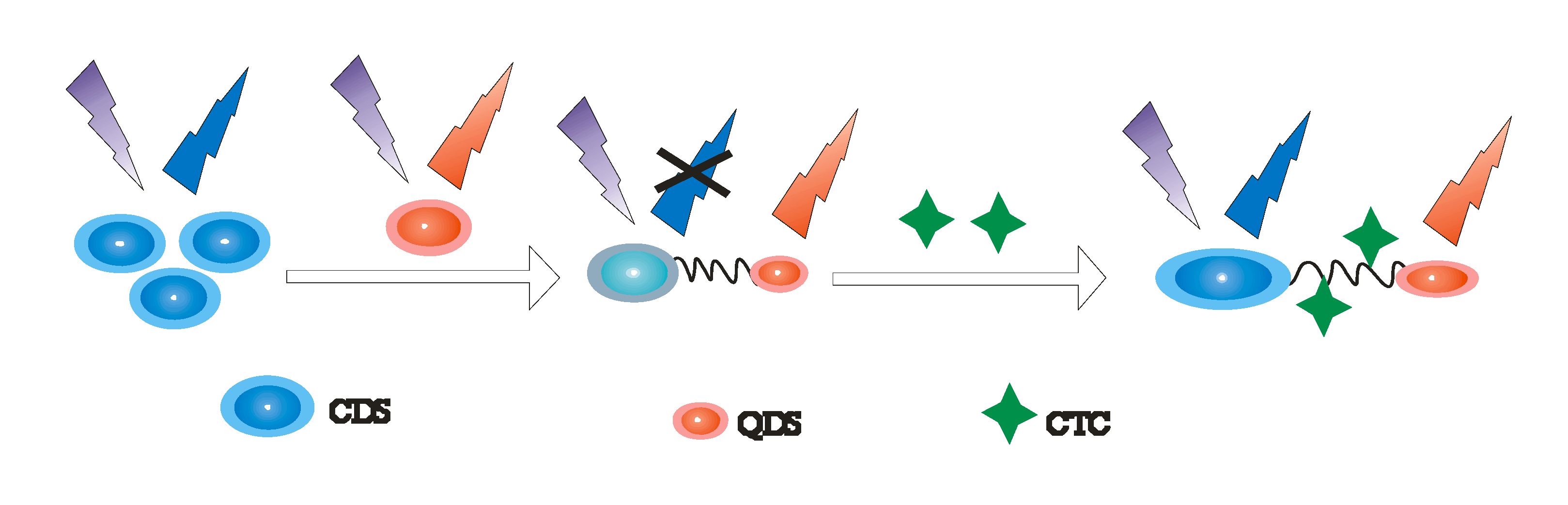 Ijms 23 07980 g015 Ijms 23 07980 g015