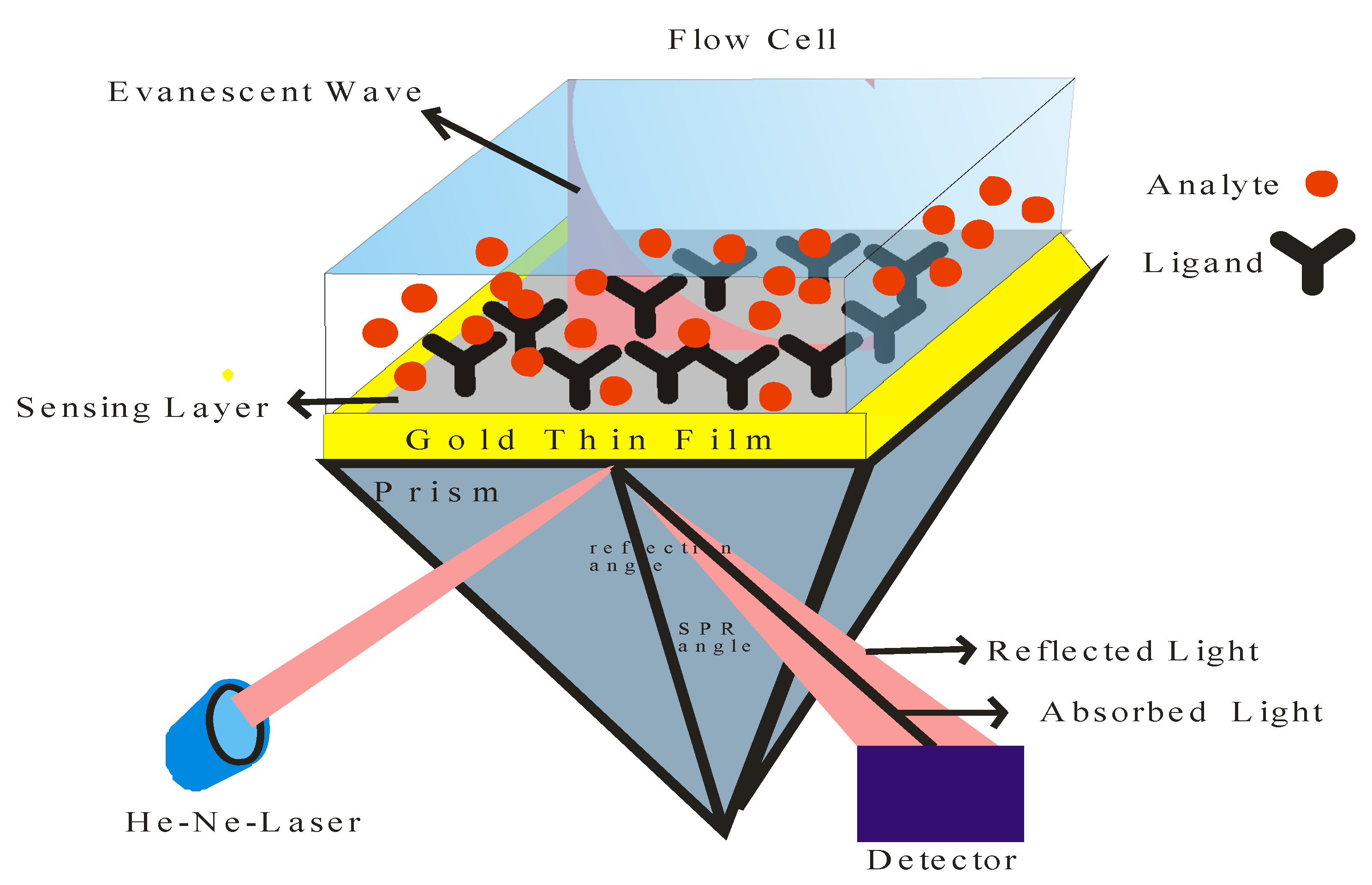 Ijms 23 07980 g016 Ijms 23 07980 g016