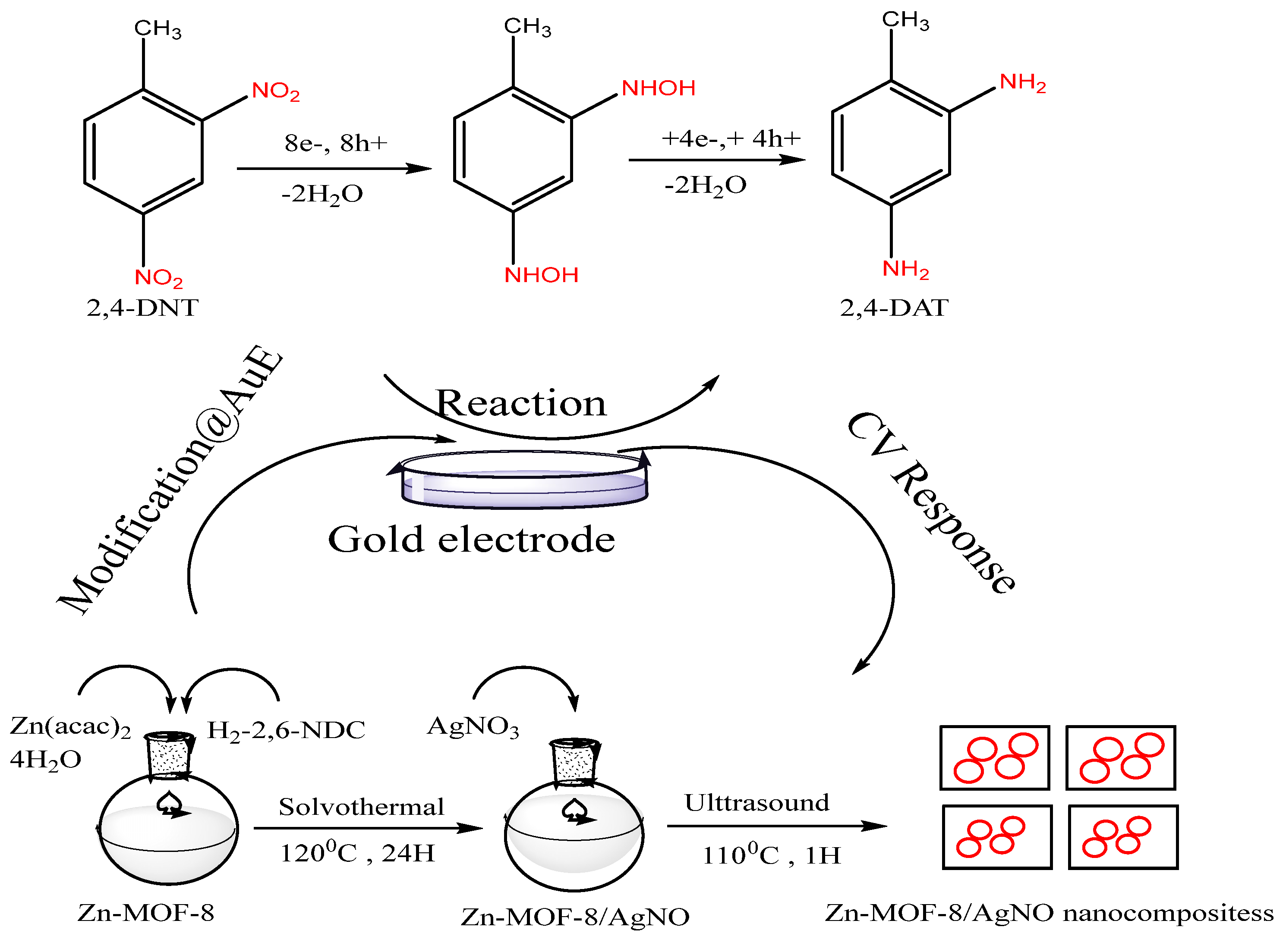 Ijms 23 07980 g022 Ijms 23 07980 g022