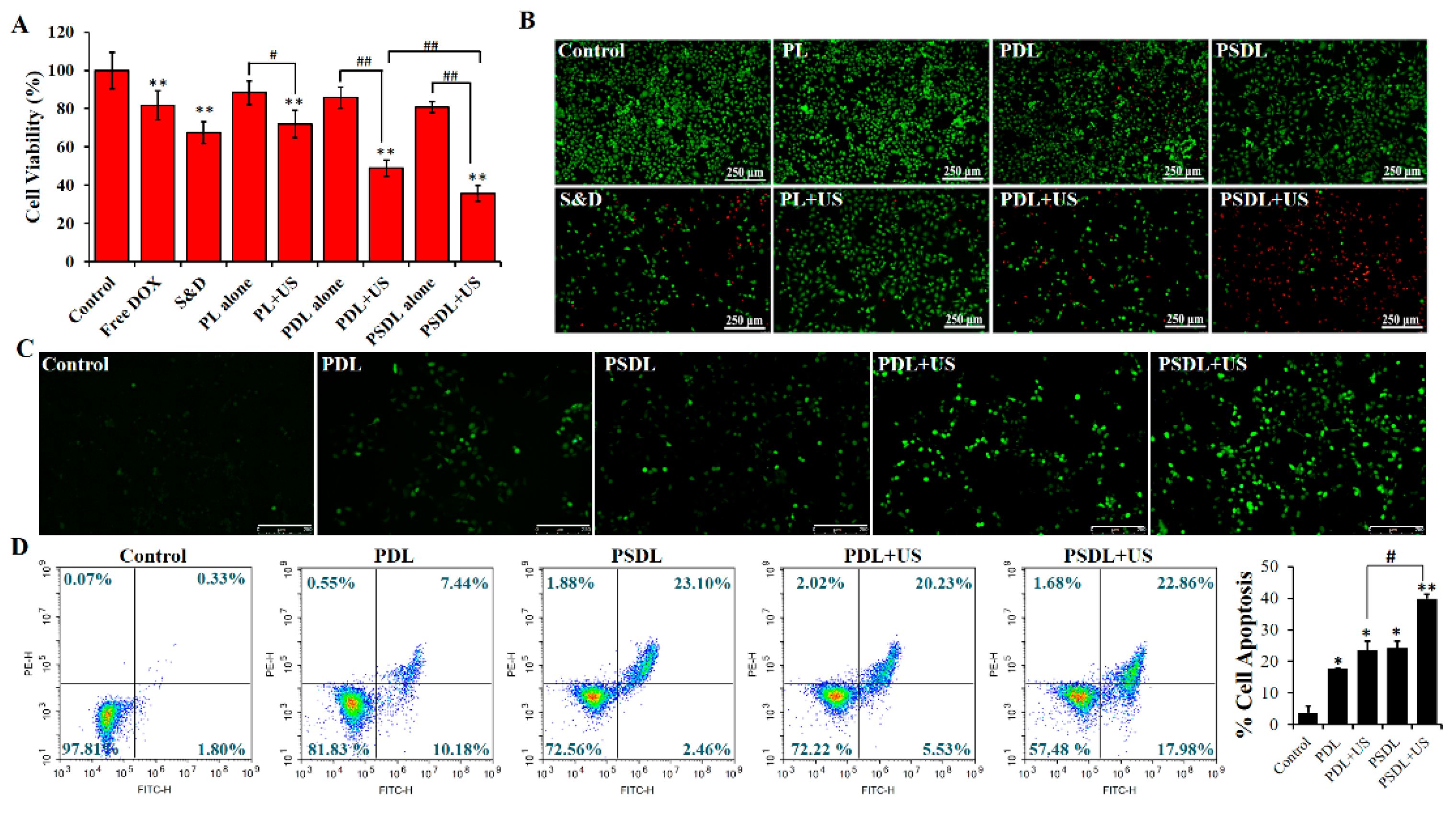 Ijms 23 07981 g003 550