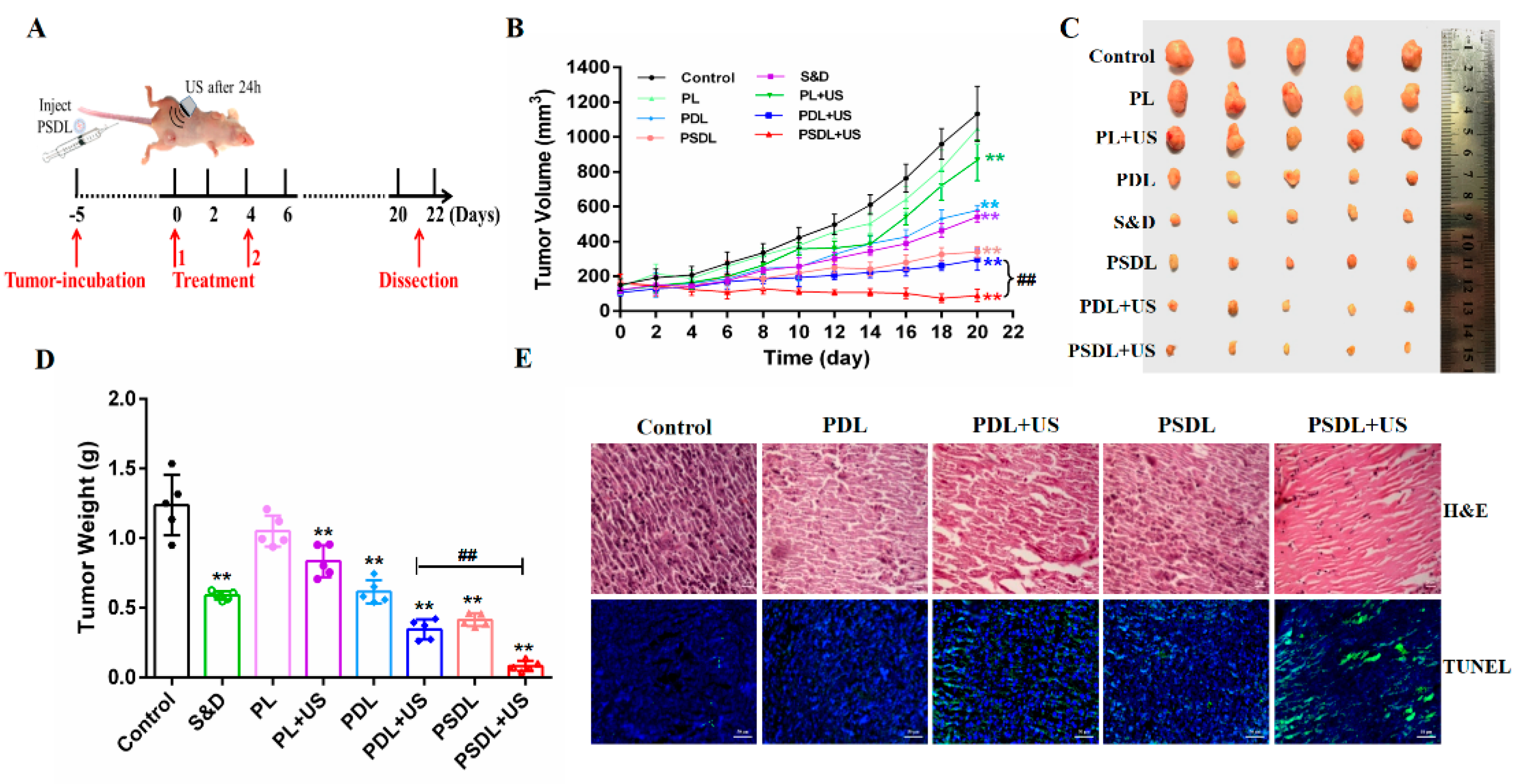 Ijms 23 07981 g006 550