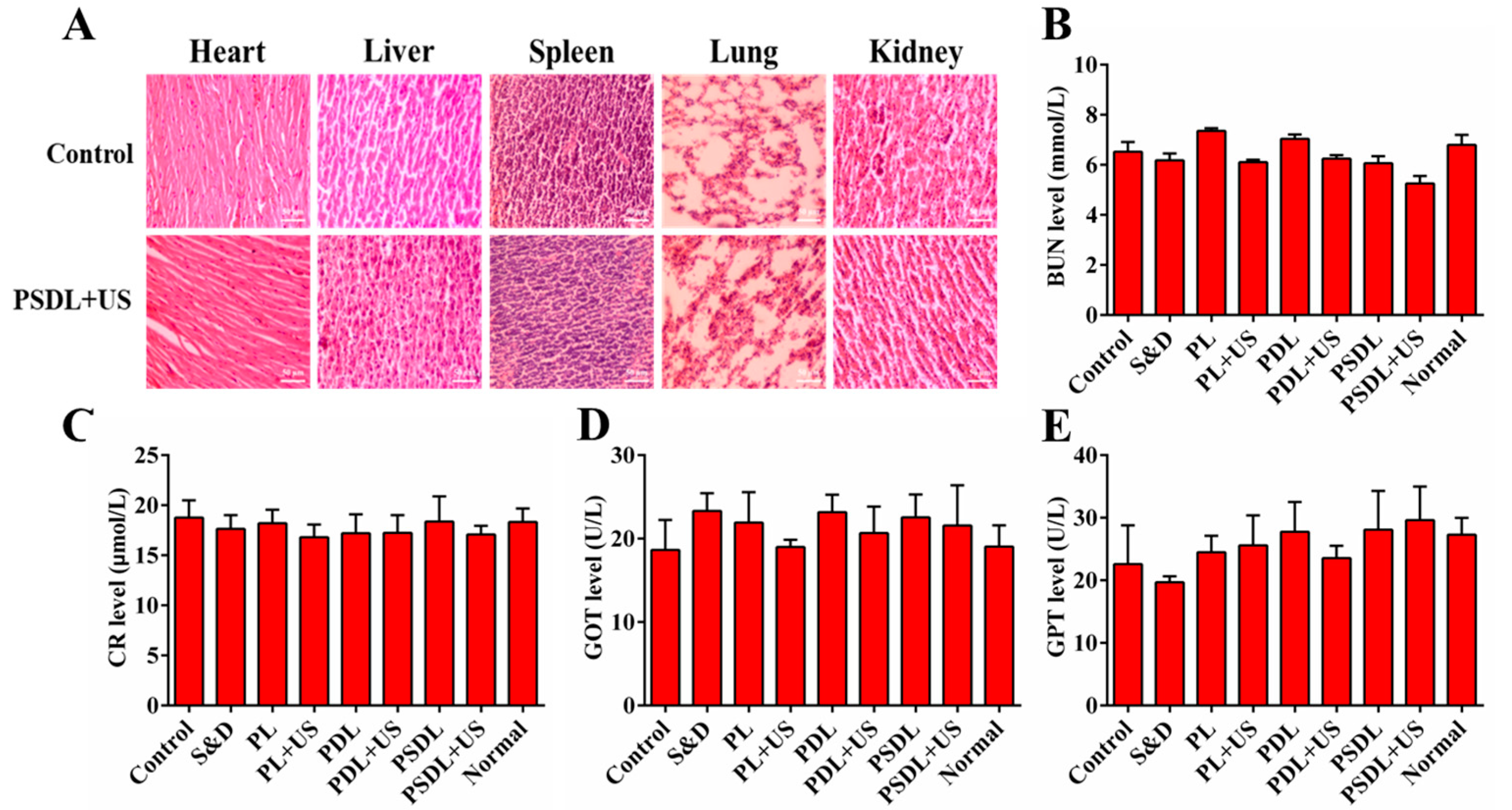 Ijms 23 07981 g007 550