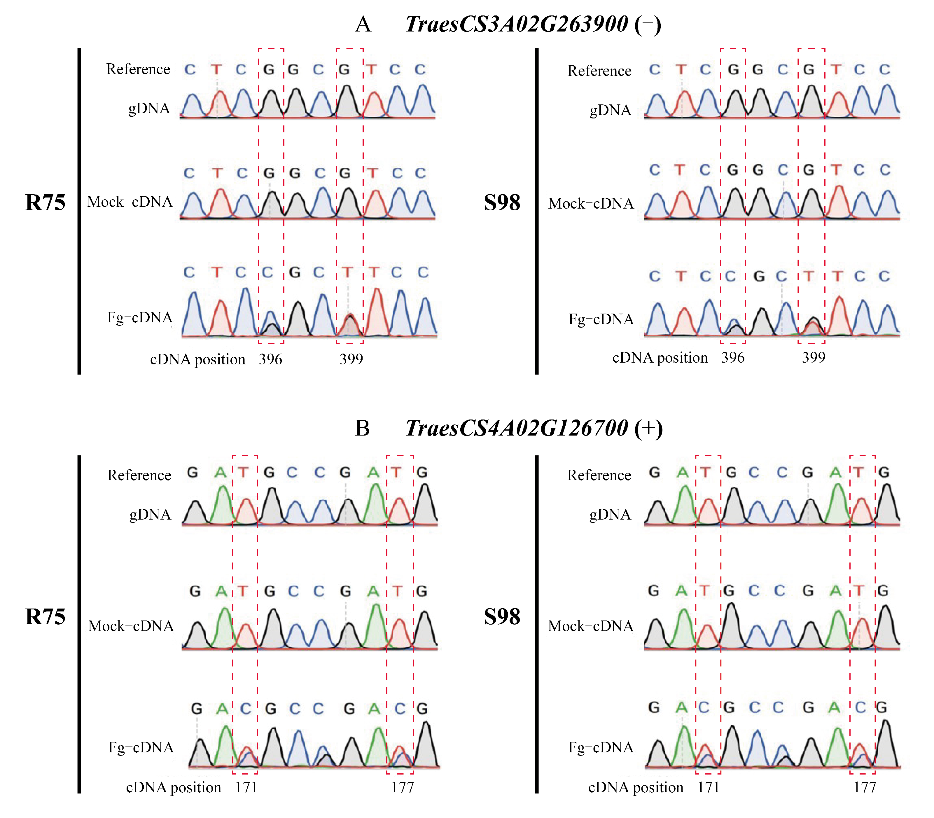 Ijms 23 07982 g003 550