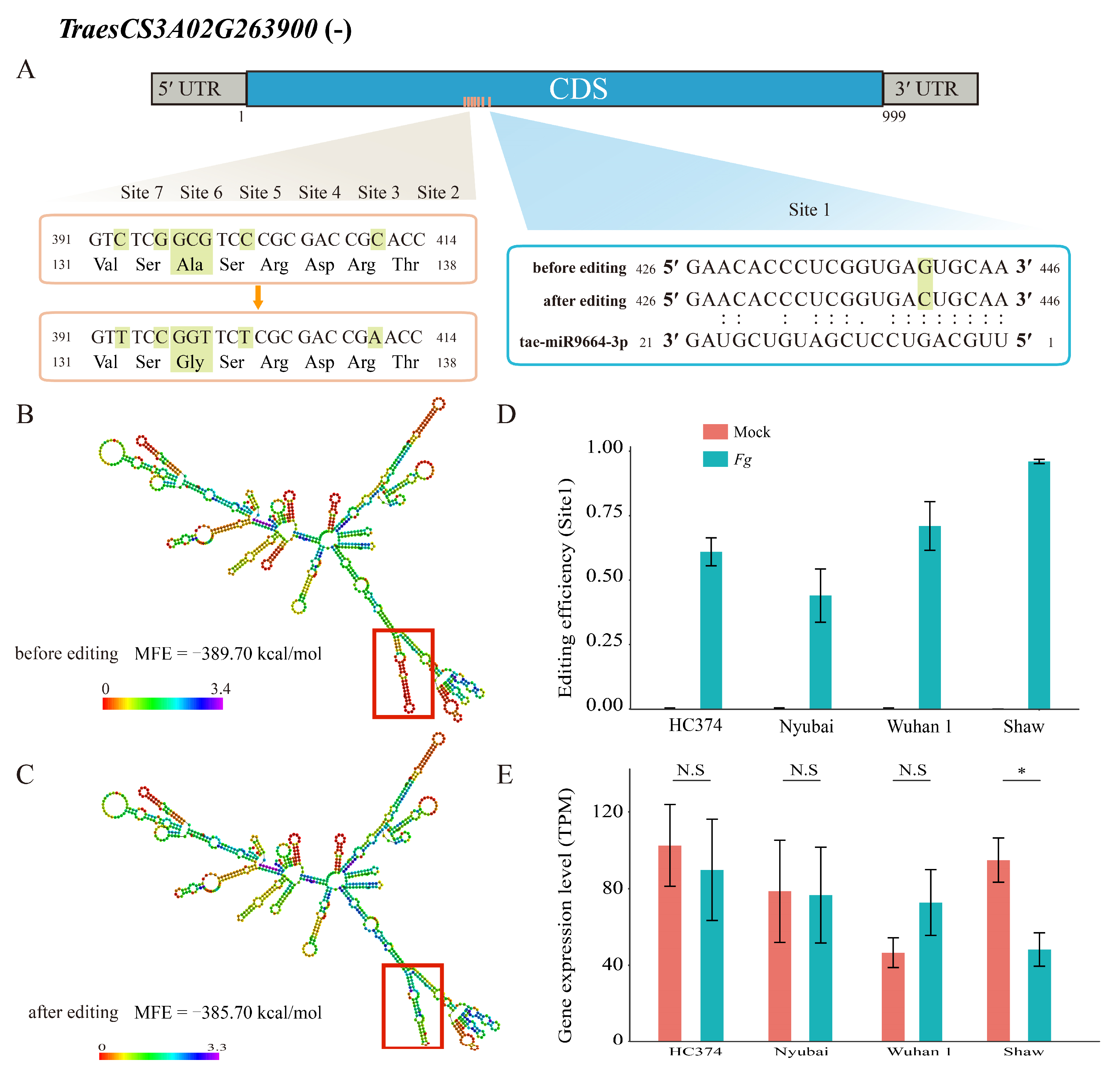 Ijms 23 07982 g005 550