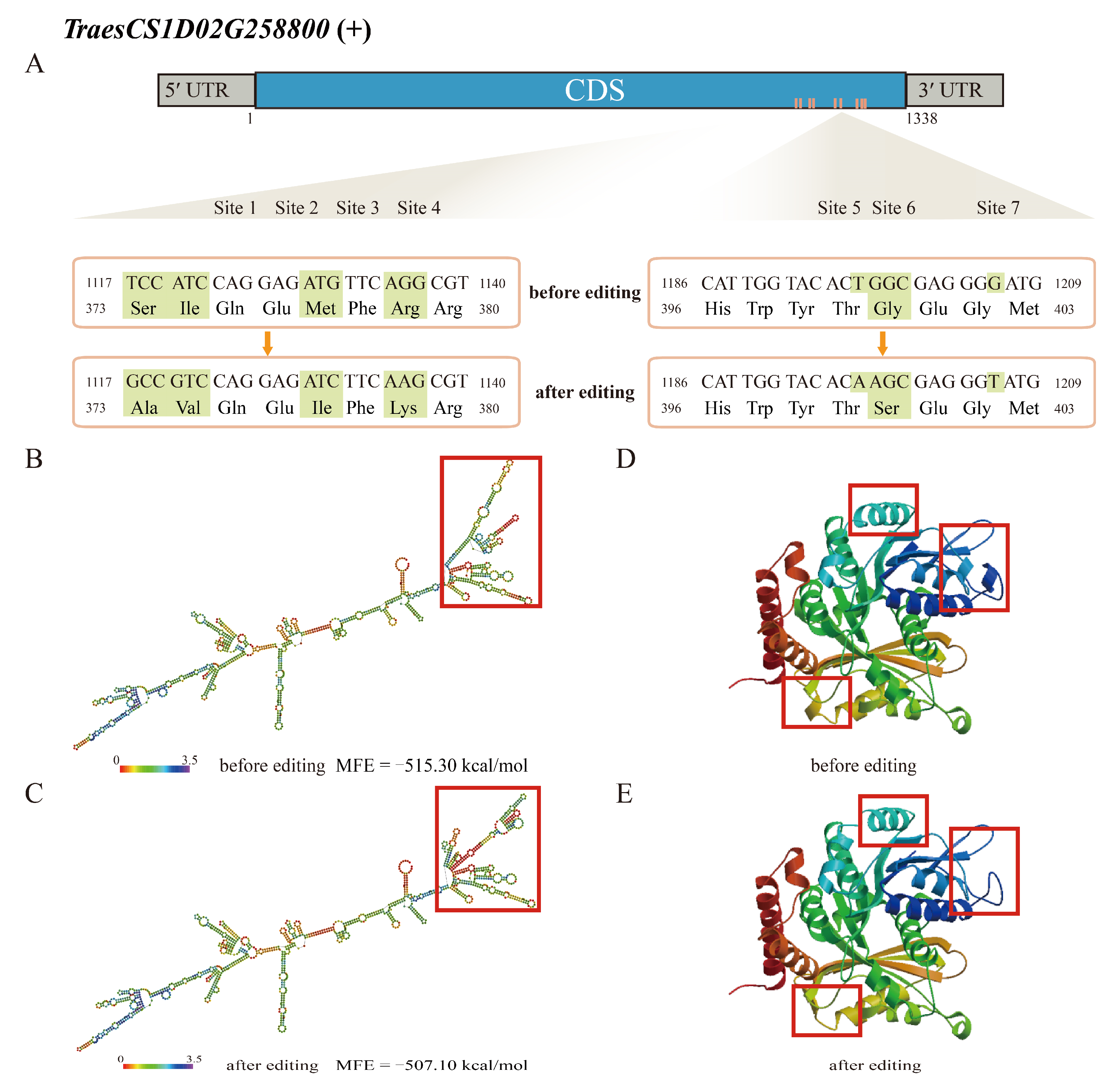 Ijms 23 07982 g006 550