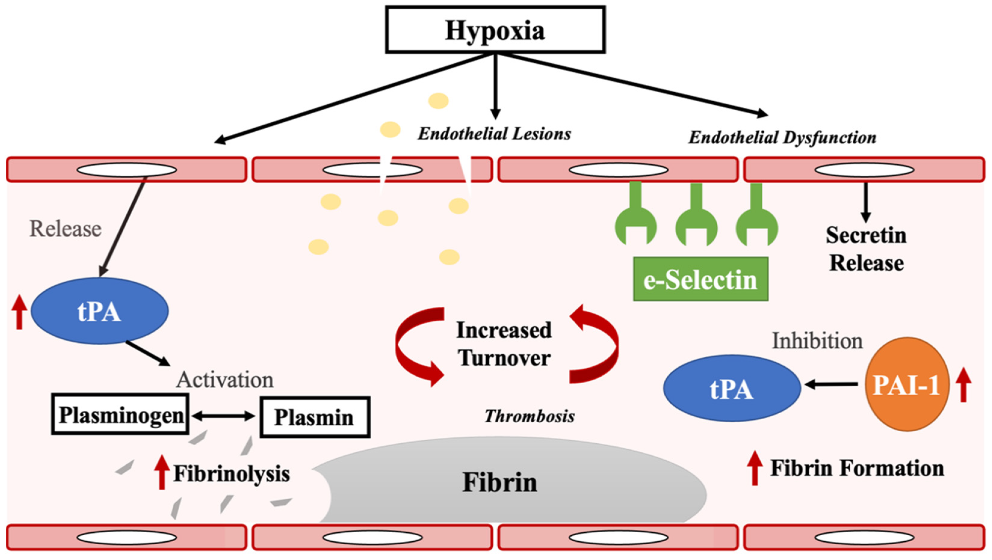 Ijms 23 07983 g003 550