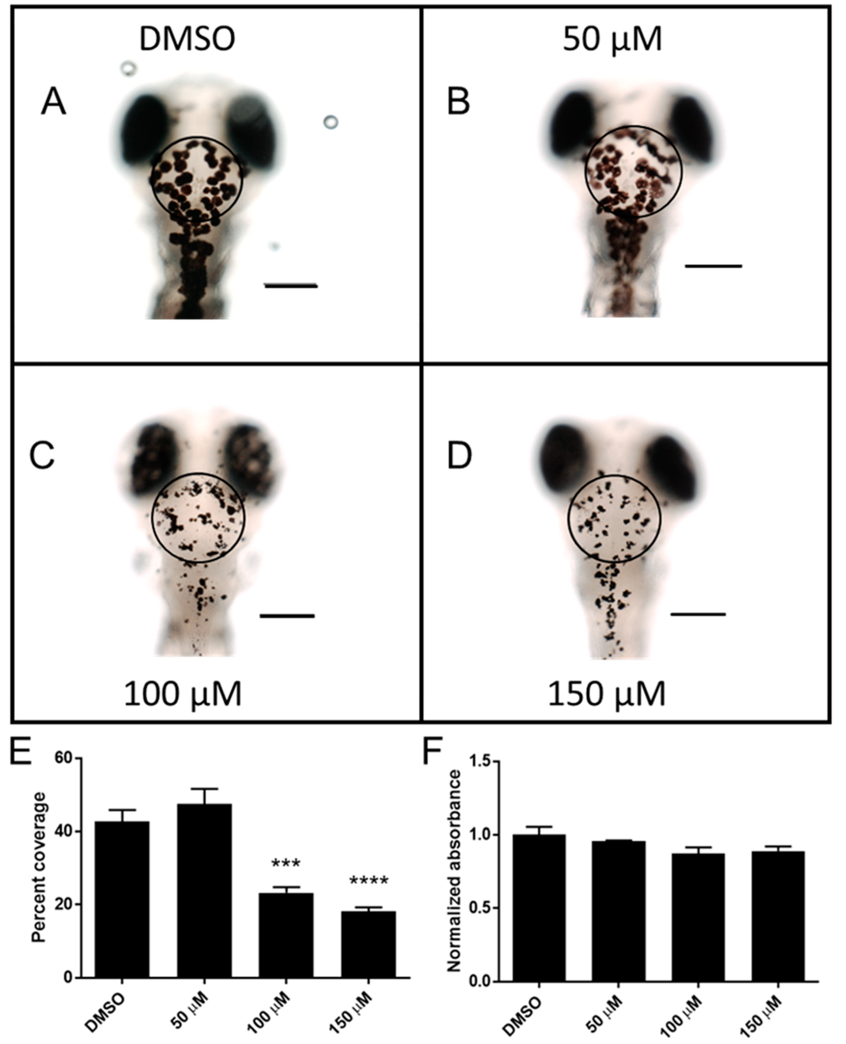 Ijms 23 07985 g003 Ijms 23 07985 g003