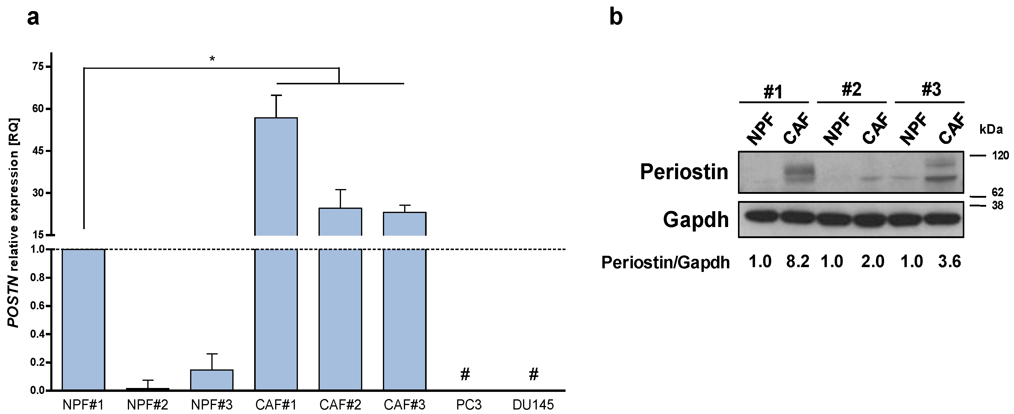 Ijms 23 07987 g001 550