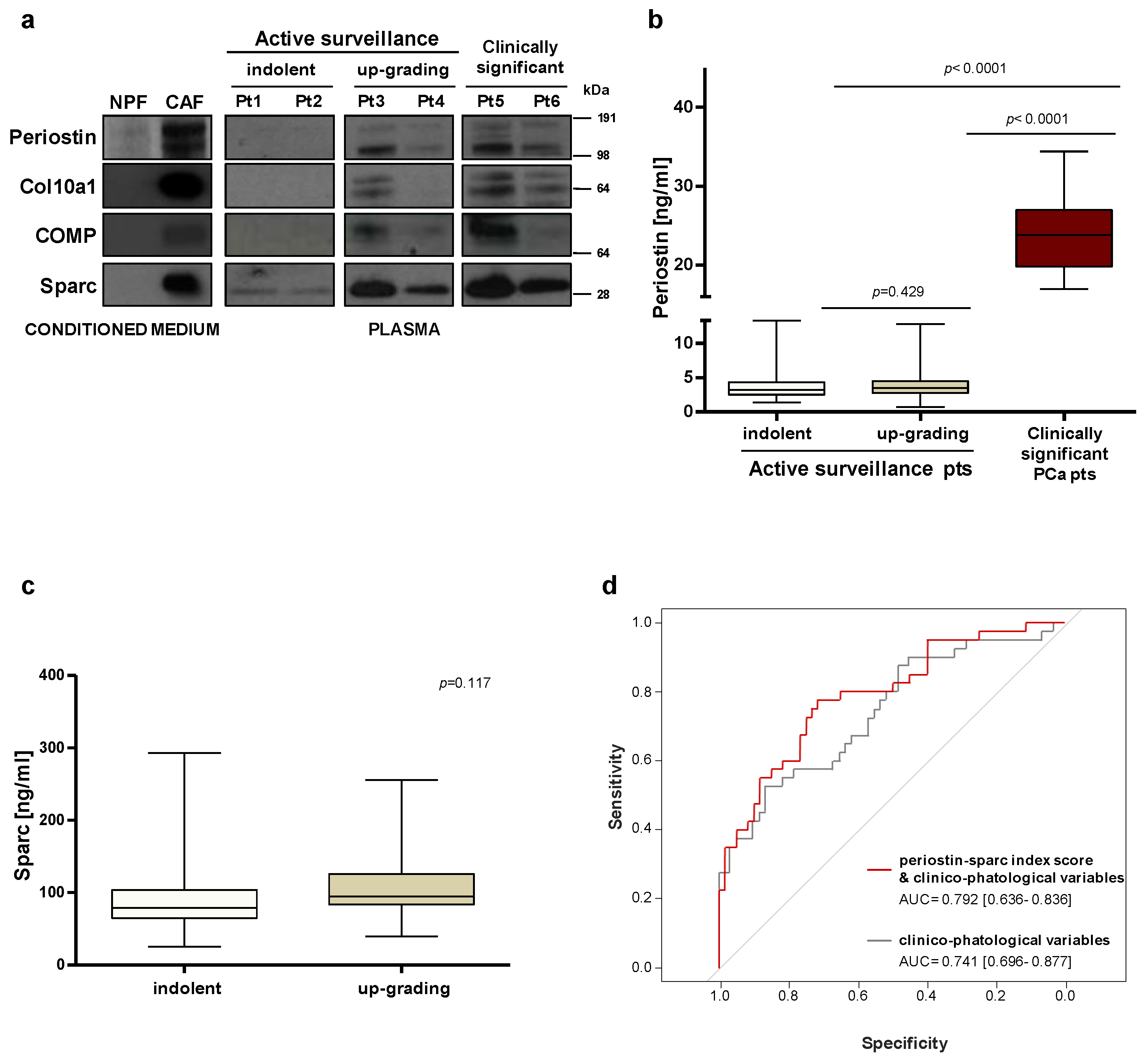 Ijms 23 07987 g003 550
