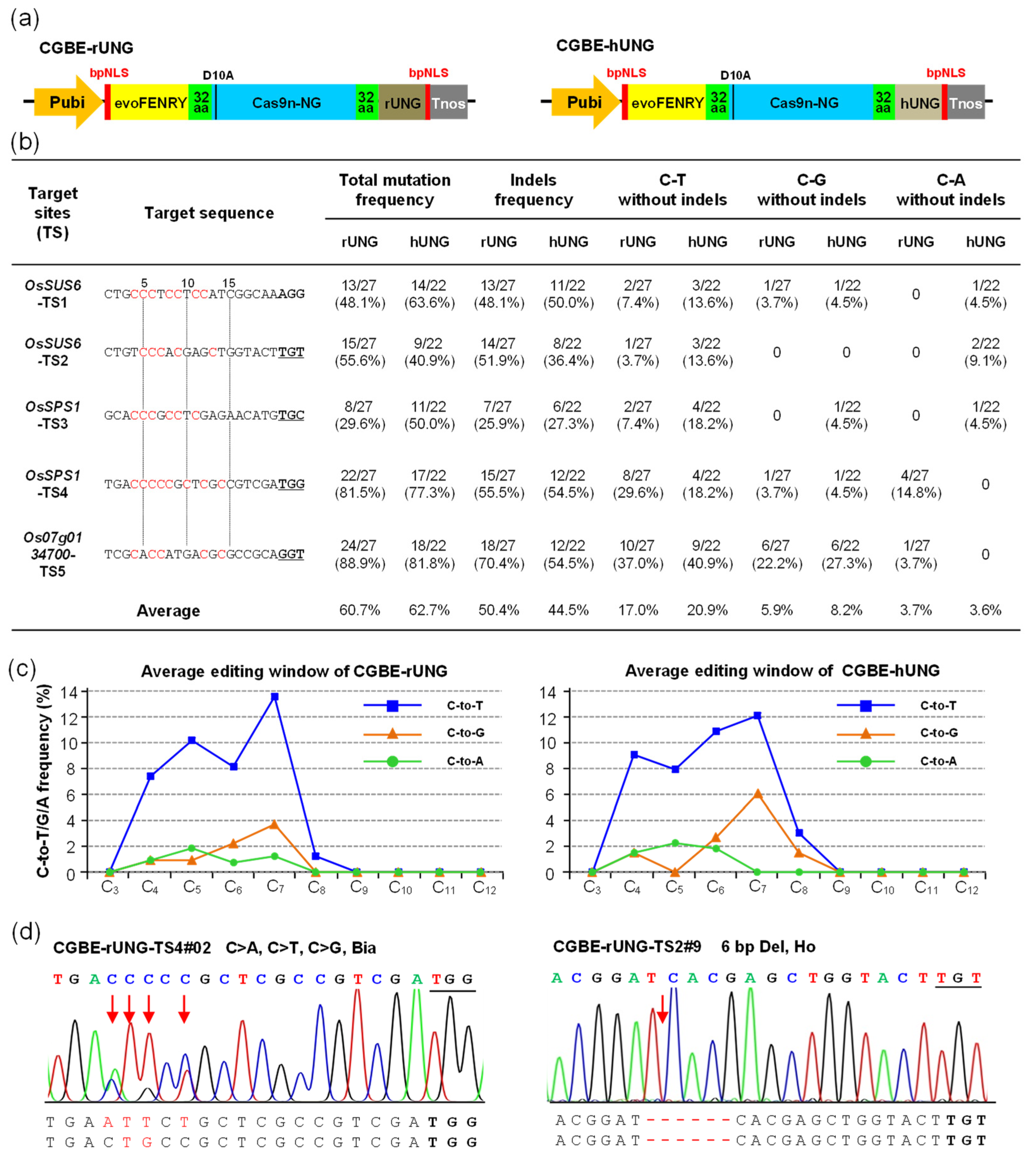 Ijms 23 07990 g001 550