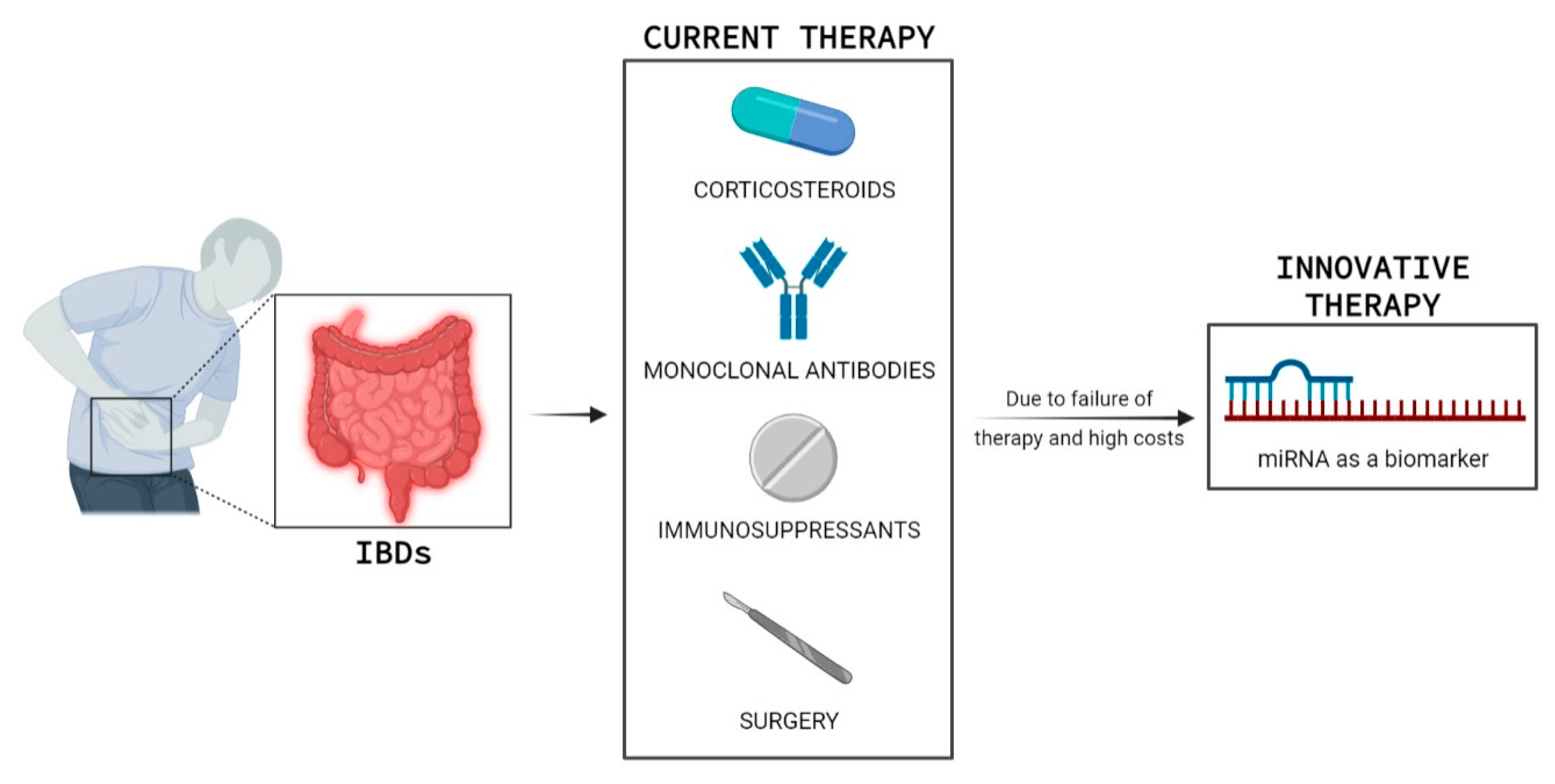 Ijms 23 07991 g001 Ijms 23 07991 g001