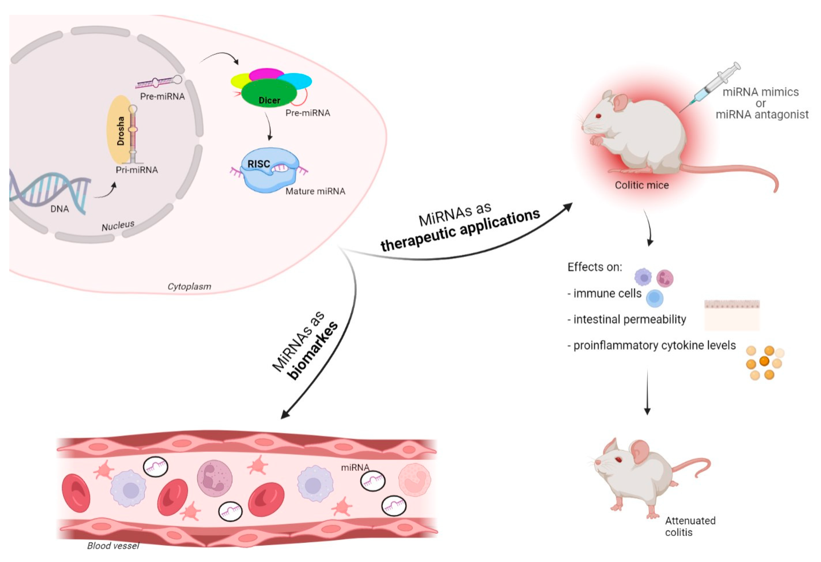 Ijms 23 07991 g002 Ijms 23 07991 g002
