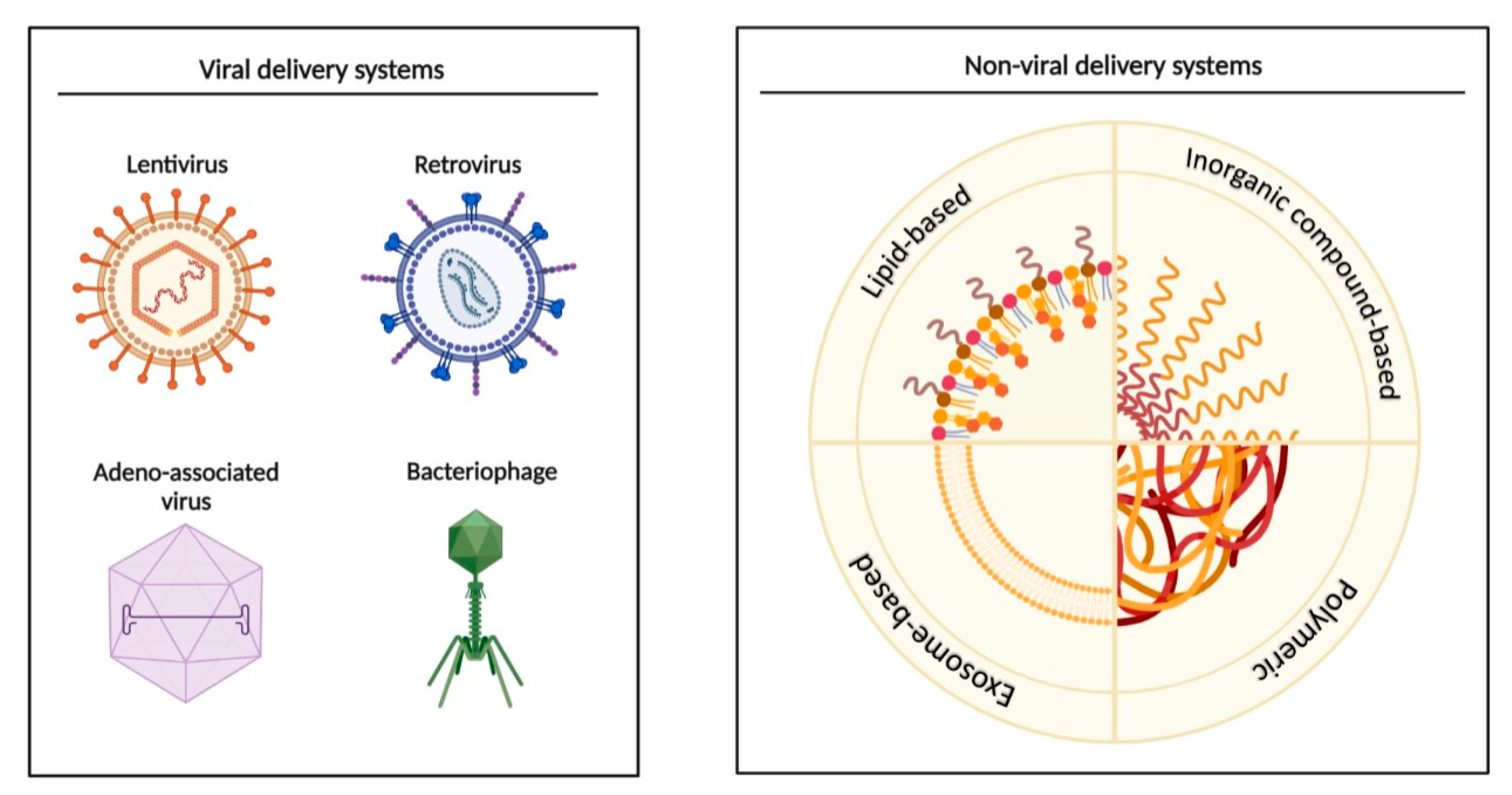 Ijms 23 07991 g003 Ijms 23 07991 g003