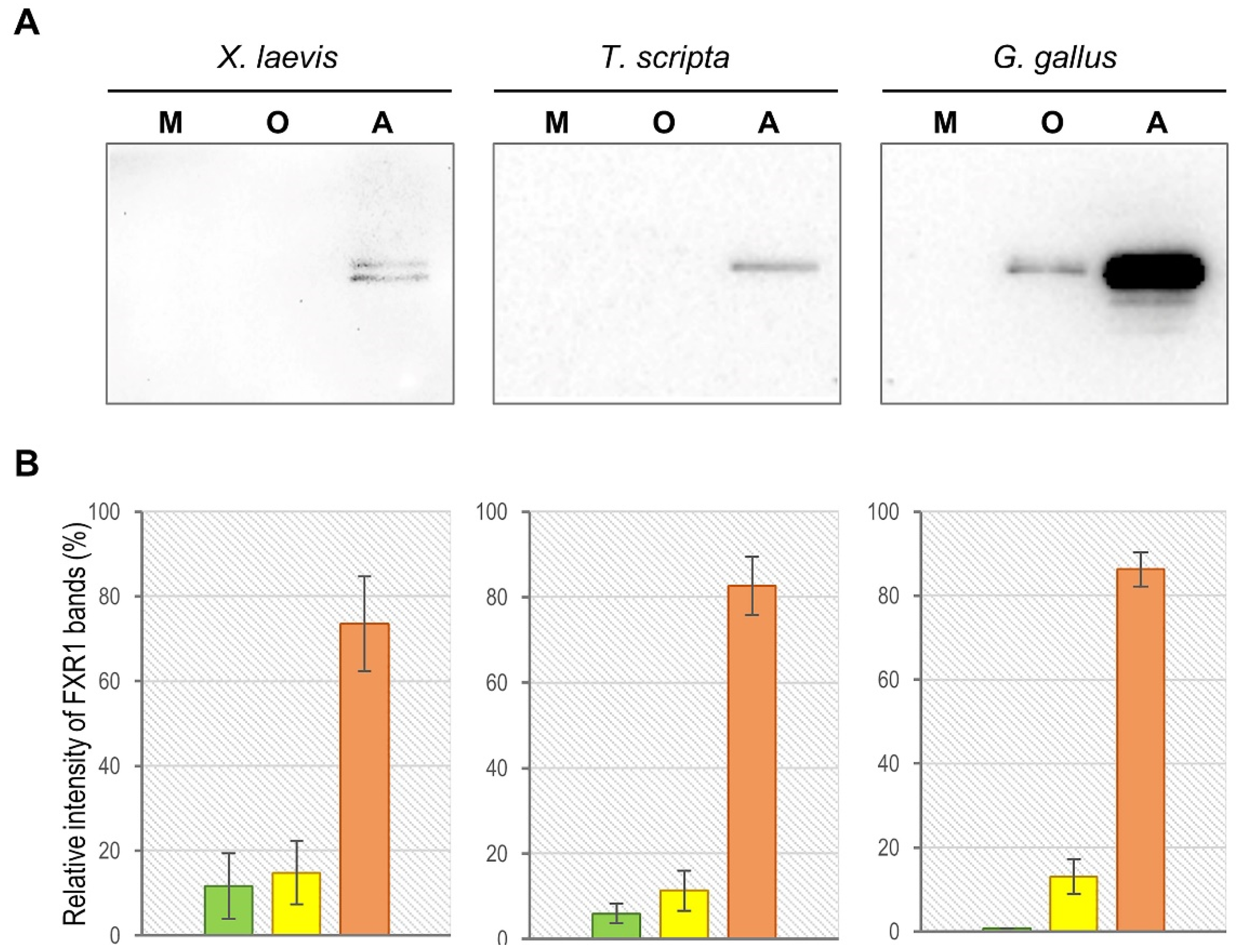 Ijms 23 07997 g001 550