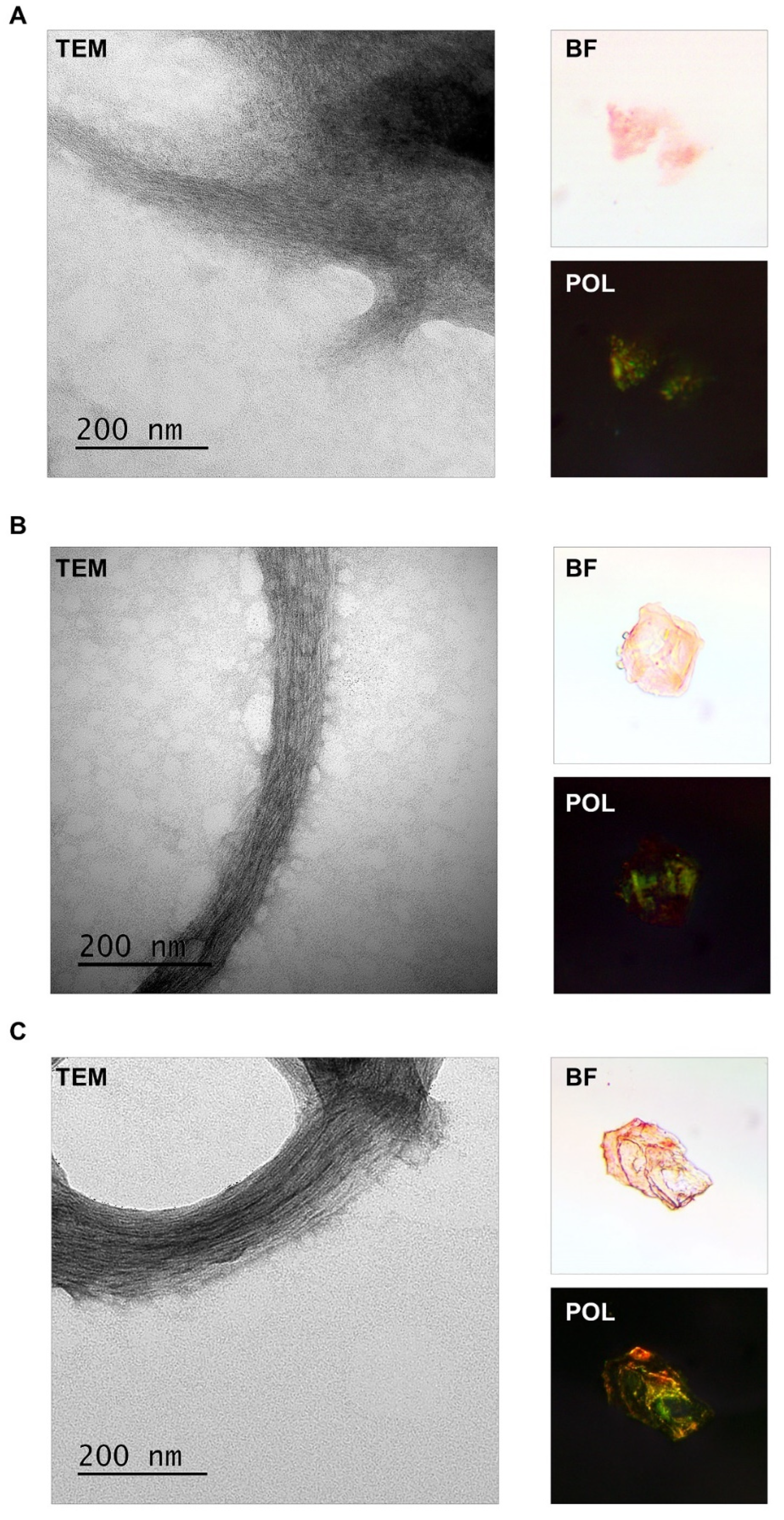 Ijms 23 07997 g004 550