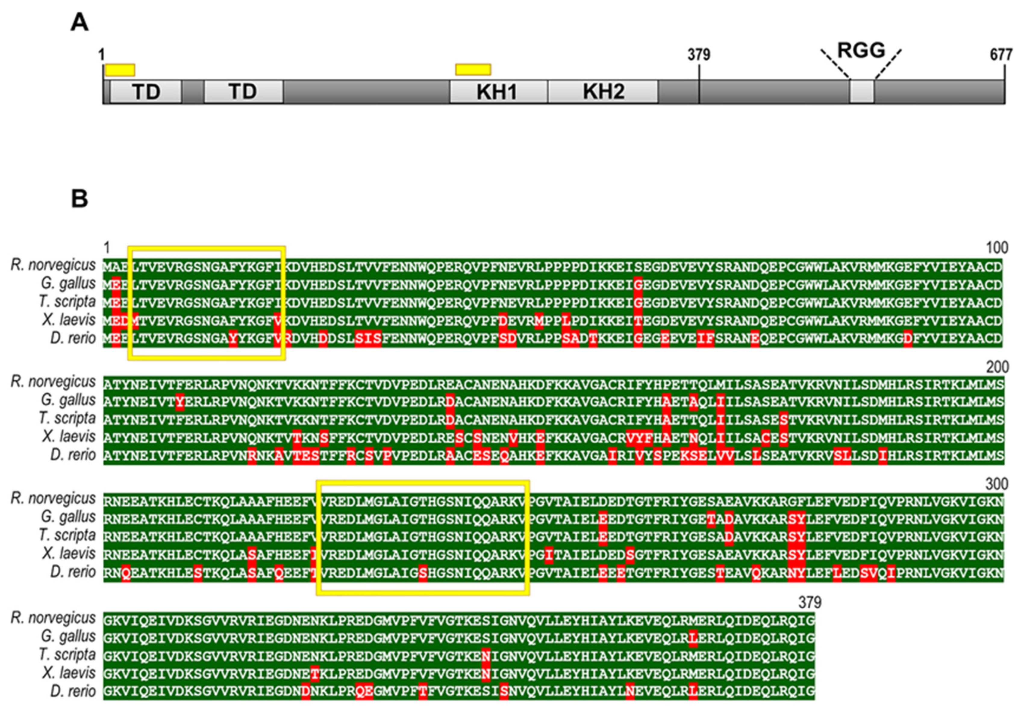 Ijms 23 07997 g006 550