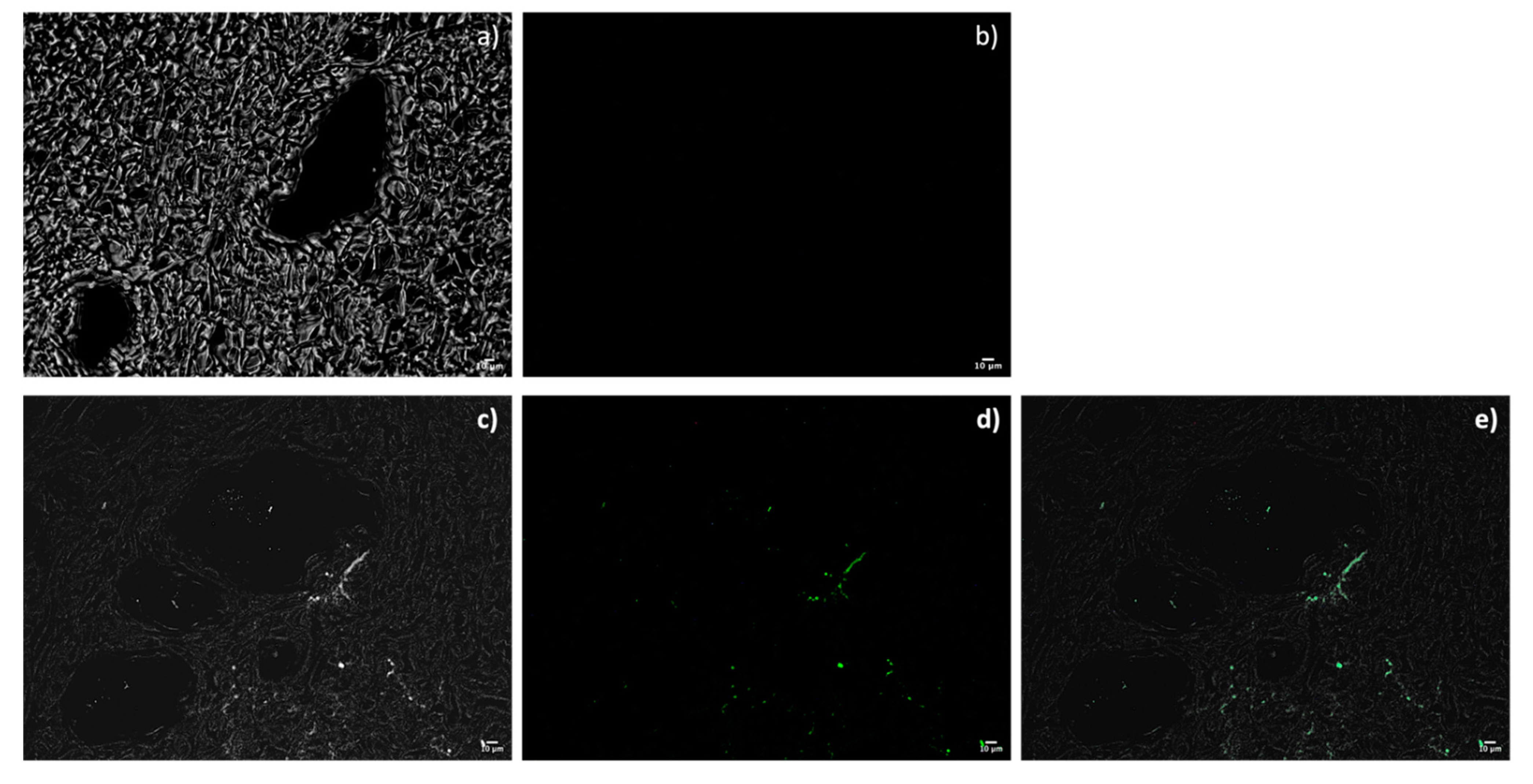 Ijms 23 07999 g007 550