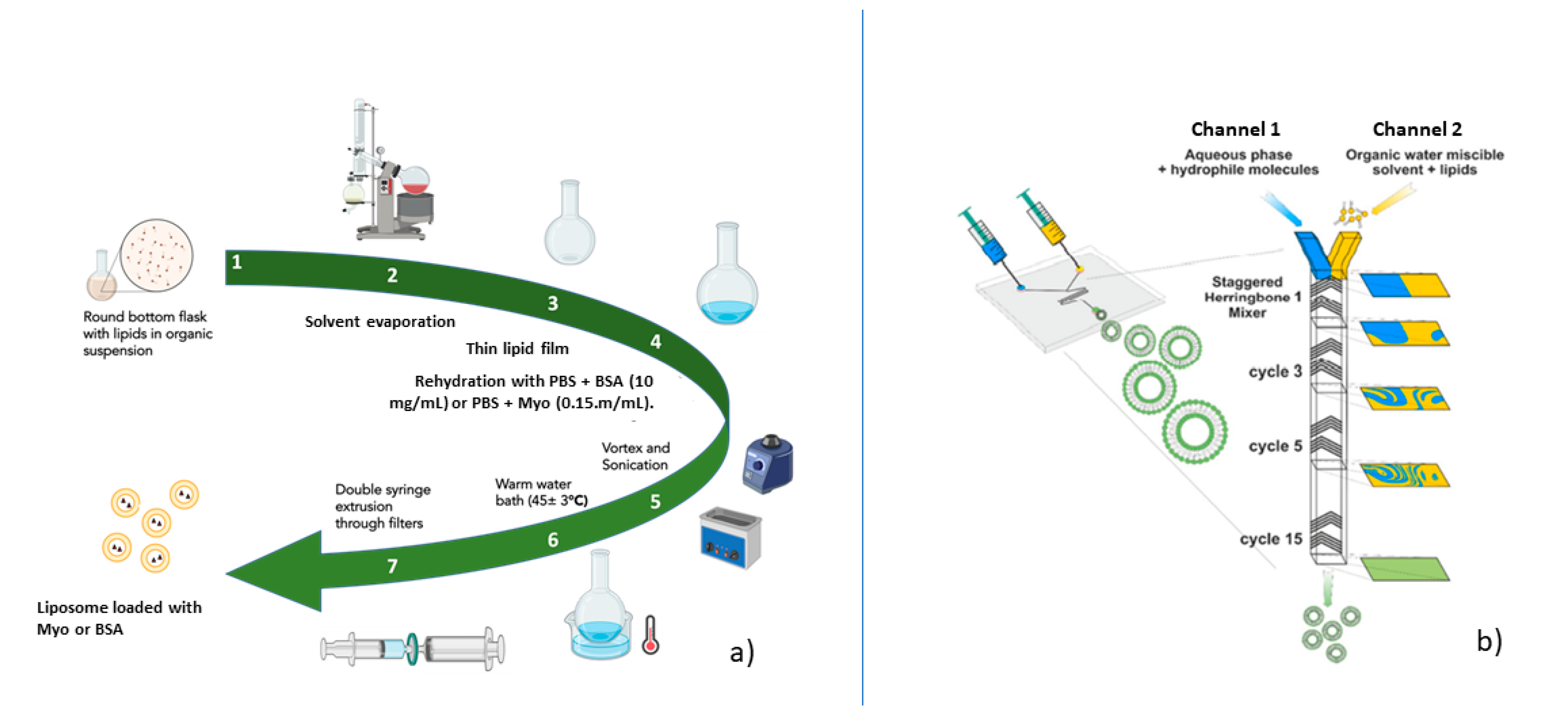 Ijms 23 07999 g008 550