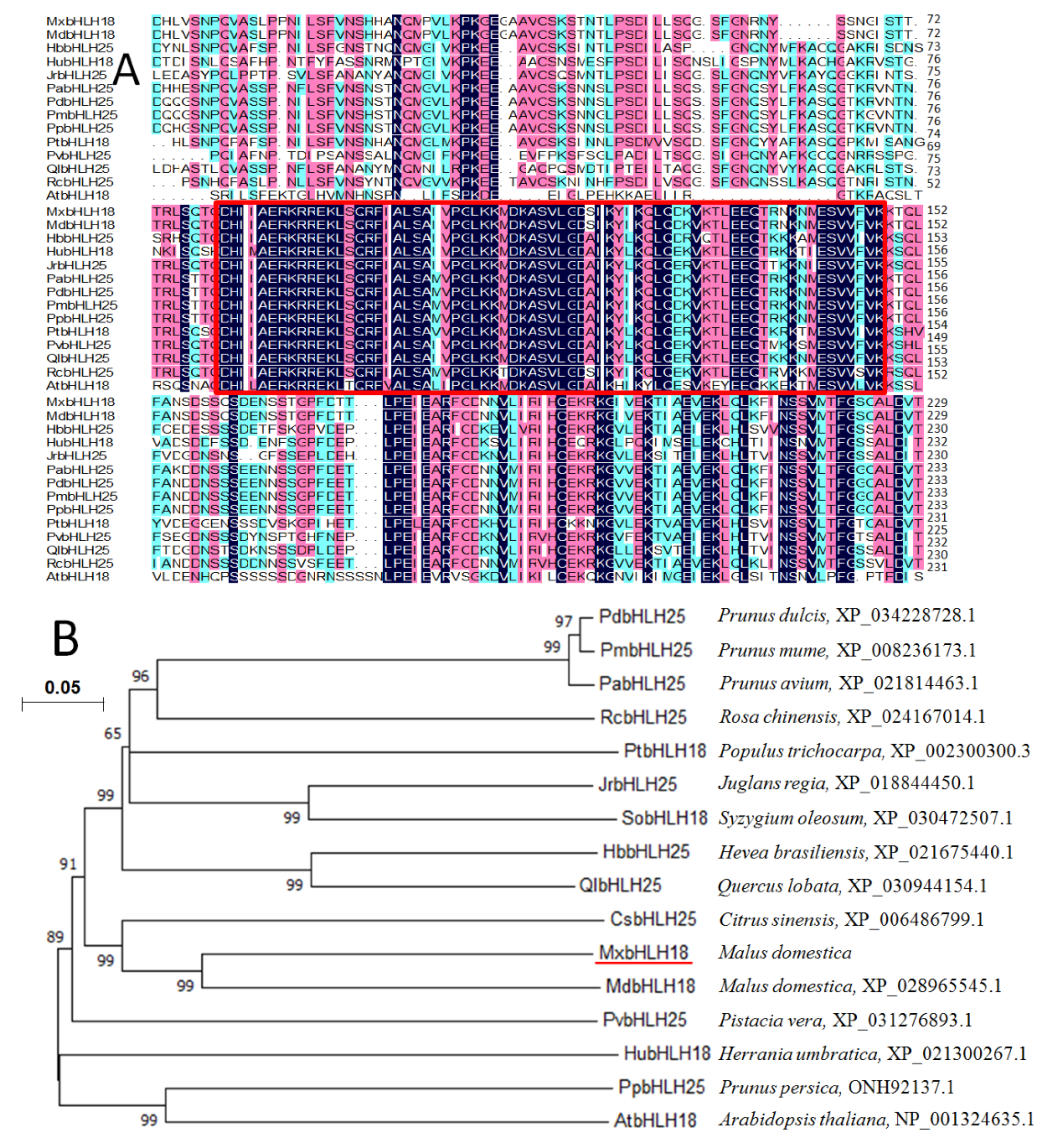 Ijms 23 08007 g001 550