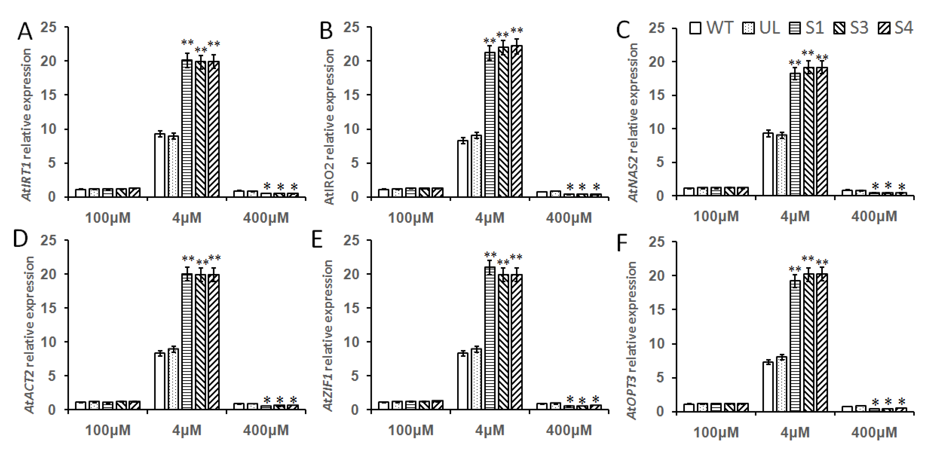 Ijms 23 08007 g009 550