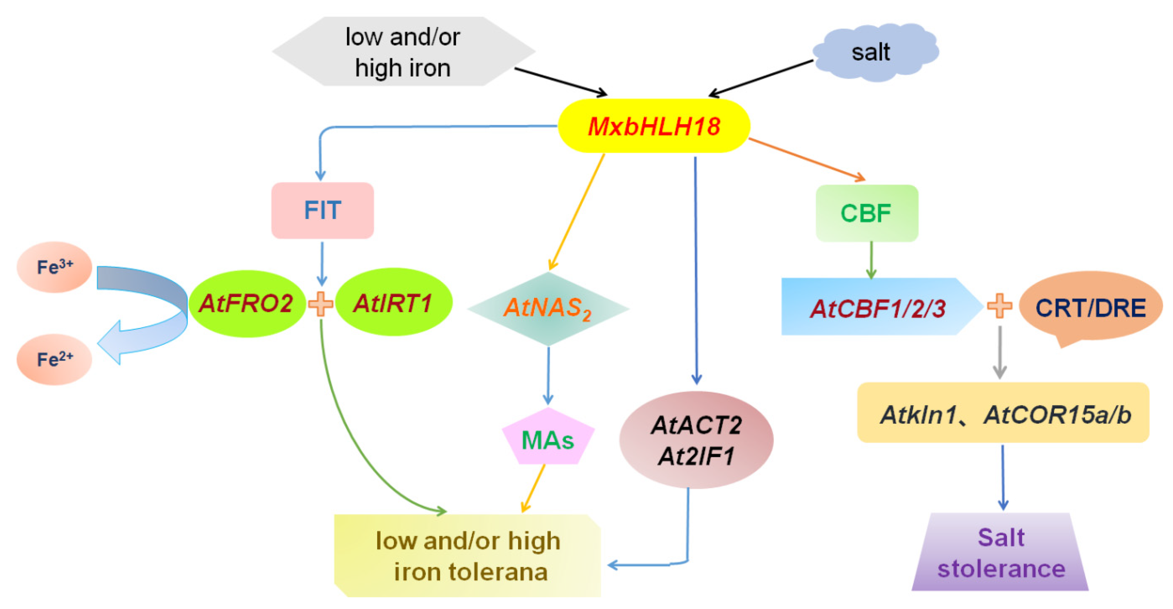 Ijms 23 08007 g010 550
