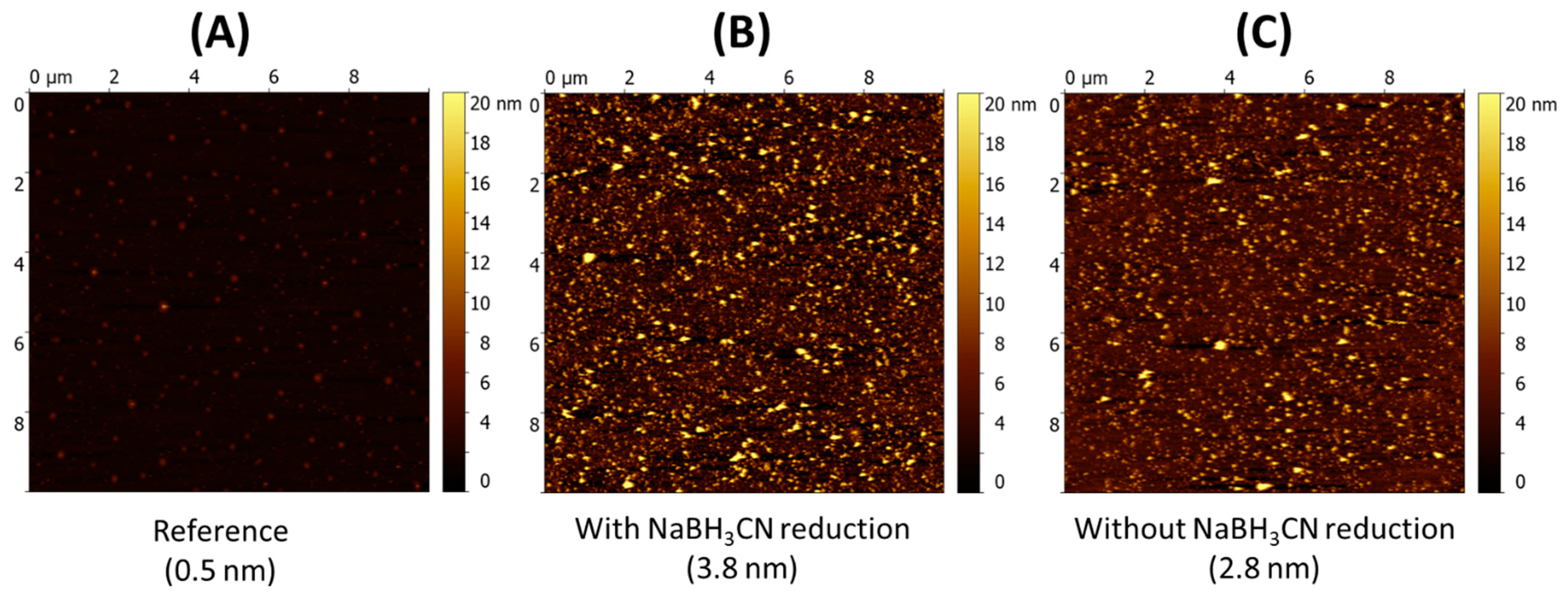 Ijms 23 08013 g004 550