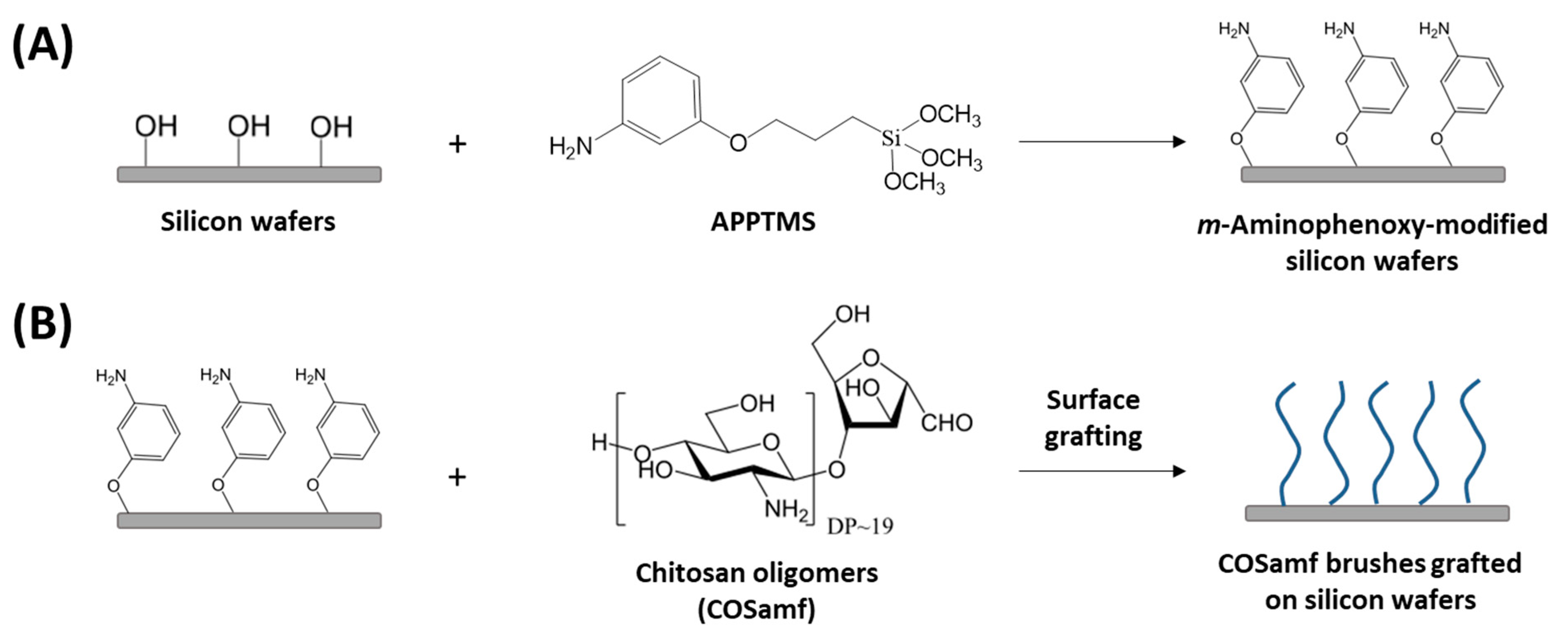 Ijms 23 08013 sch001 550