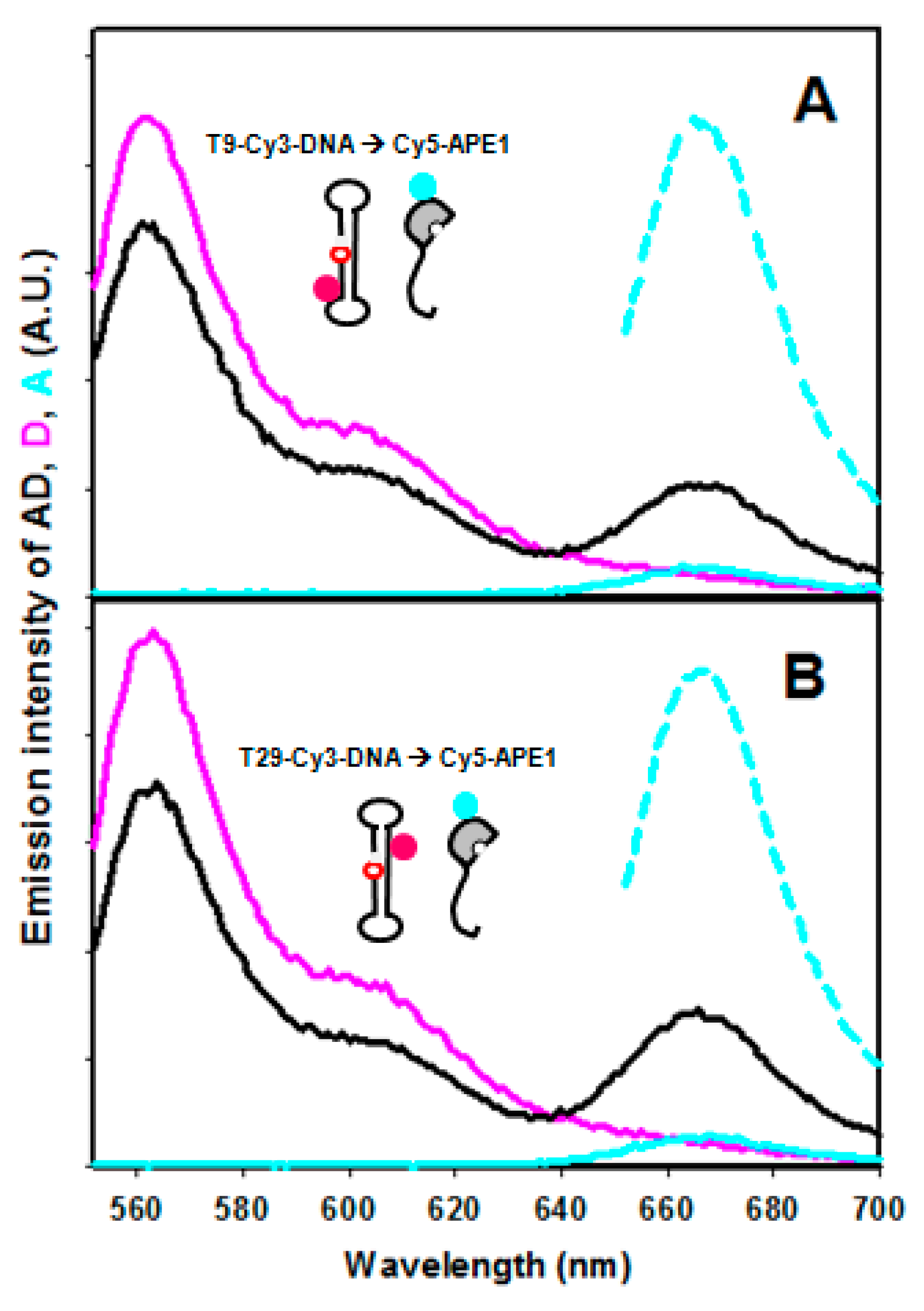 Ijms 23 08015 g002 550