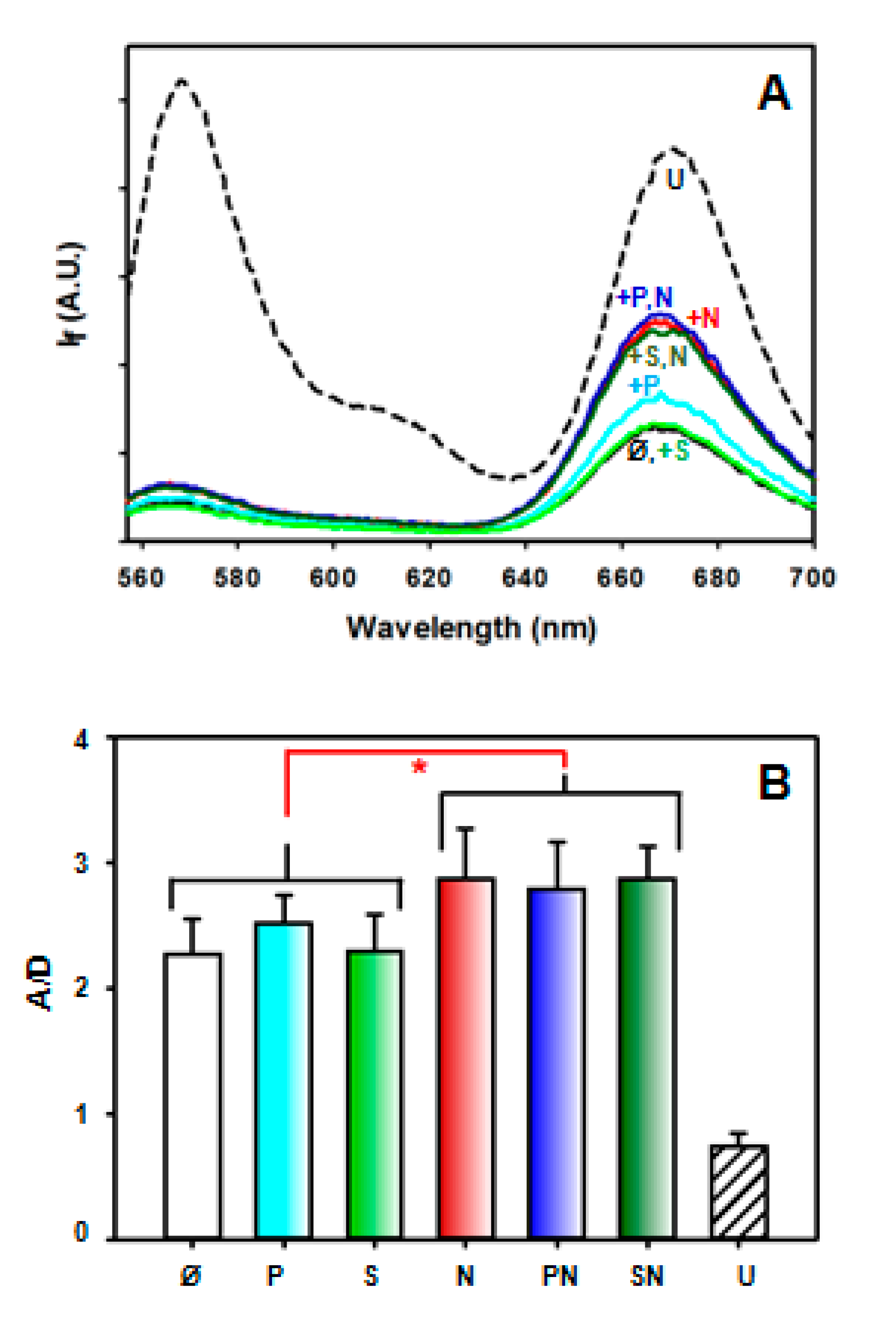 Ijms 23 08015 g005 550