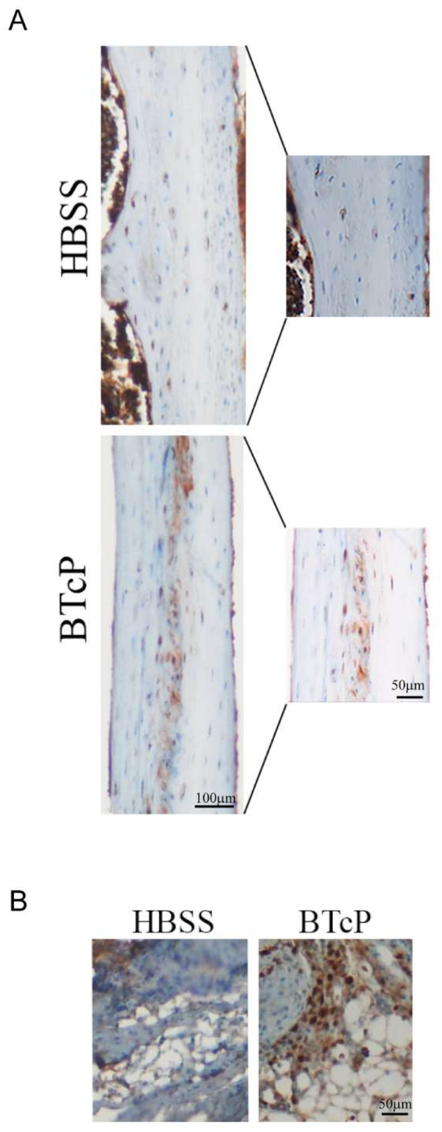 Ijms 23 08018 g001 550