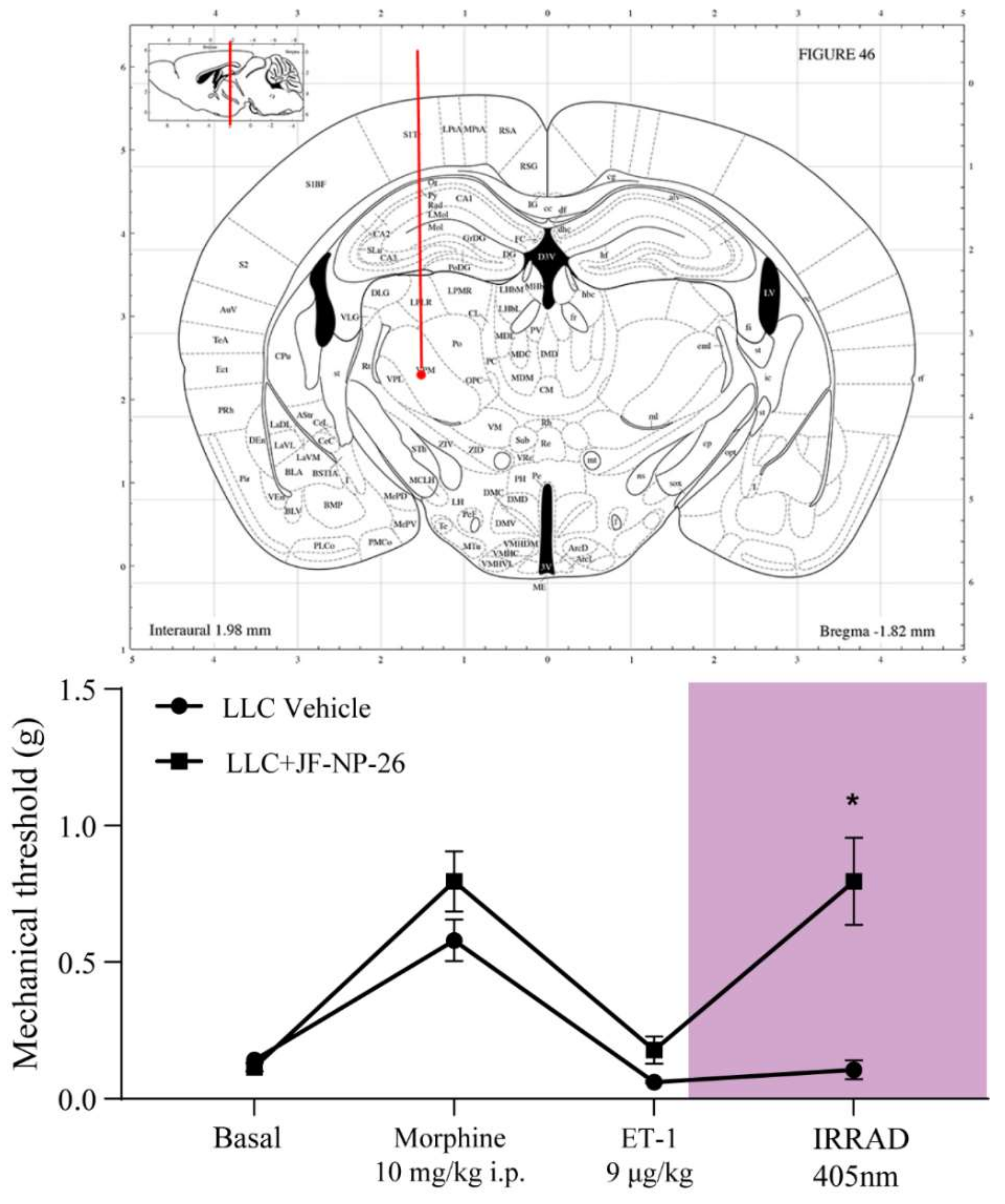 Ijms 23 08018 g003 550
