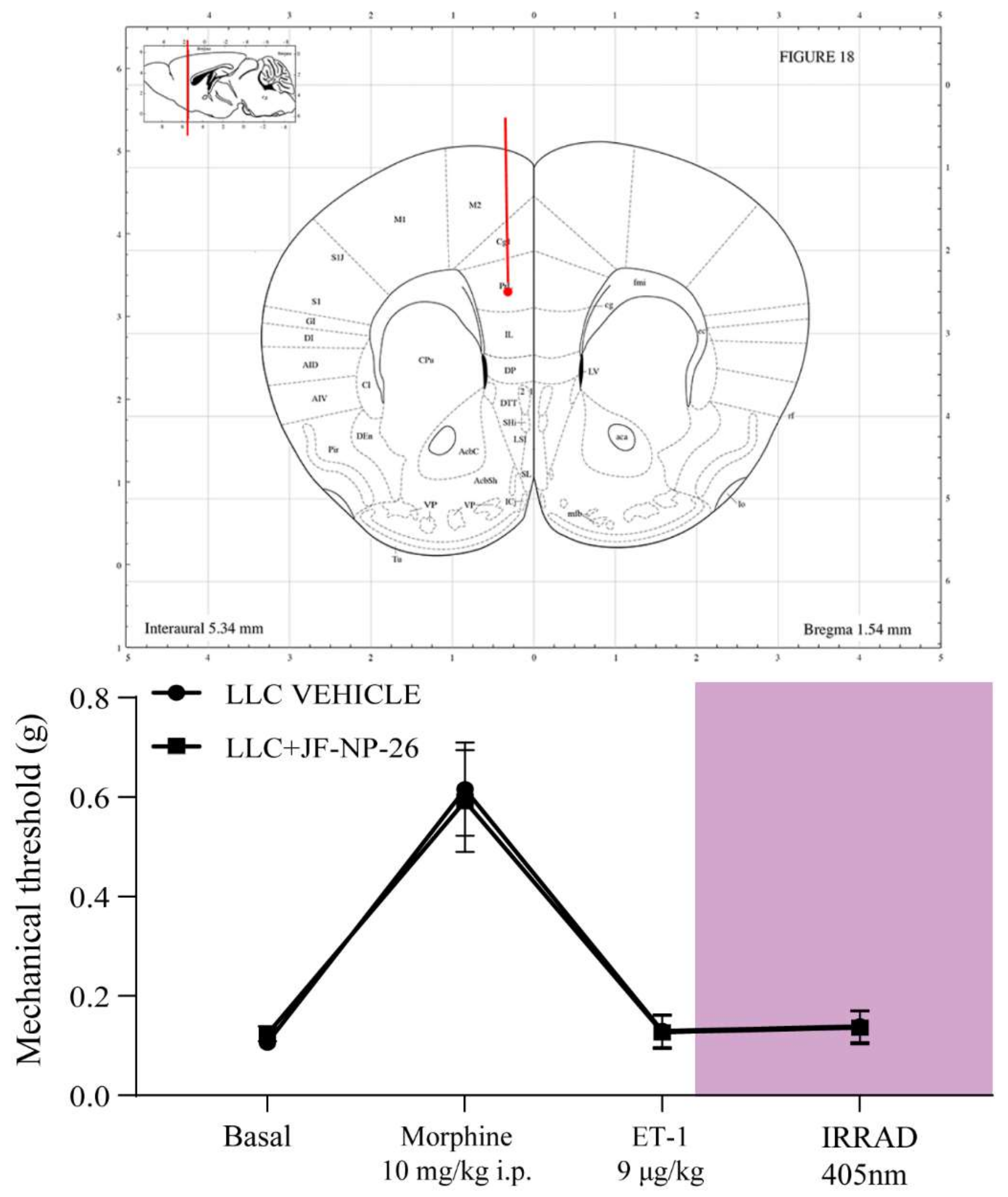 Ijms 23 08018 g004 550