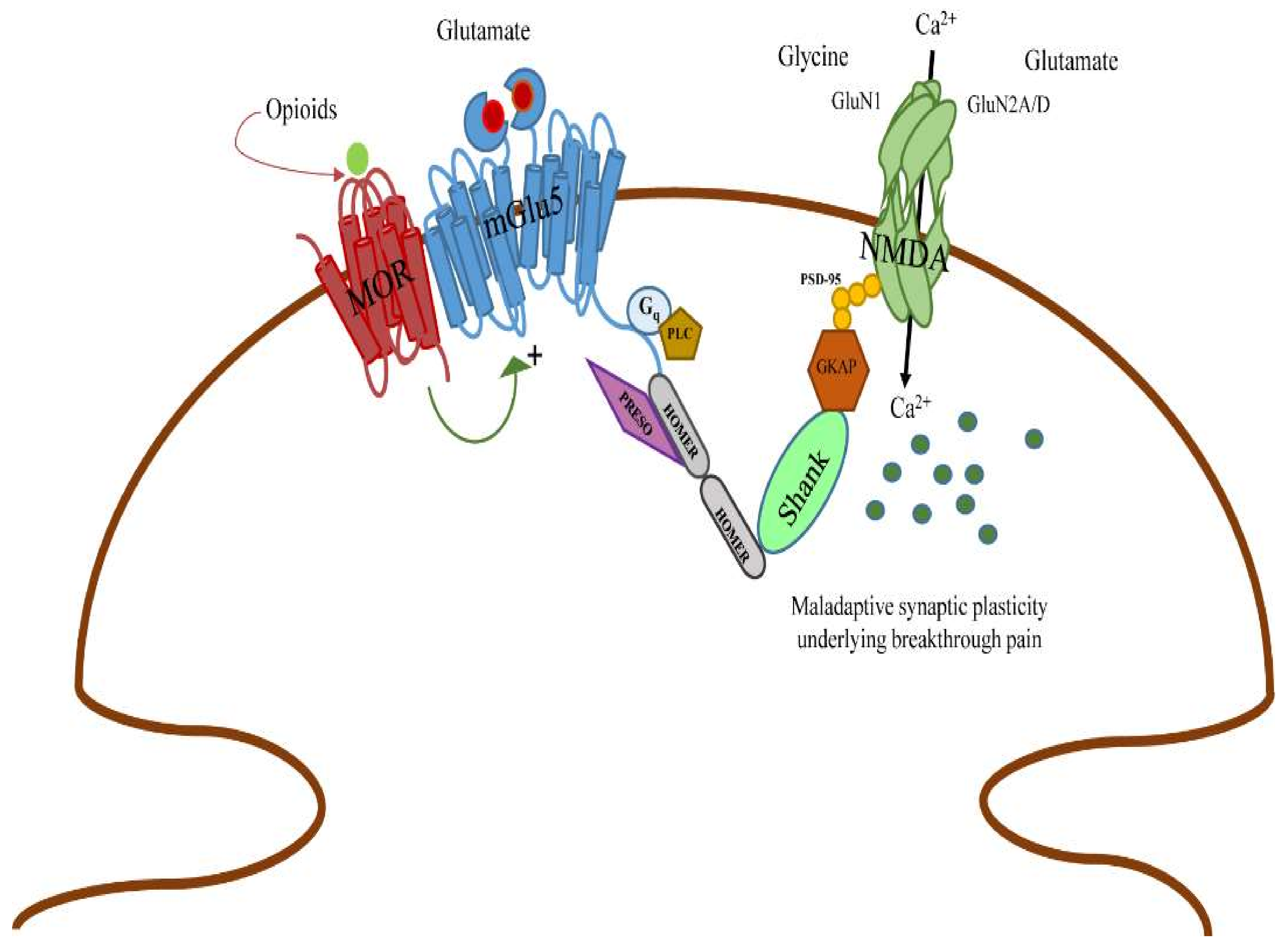 Ijms 23 08018 g005 550