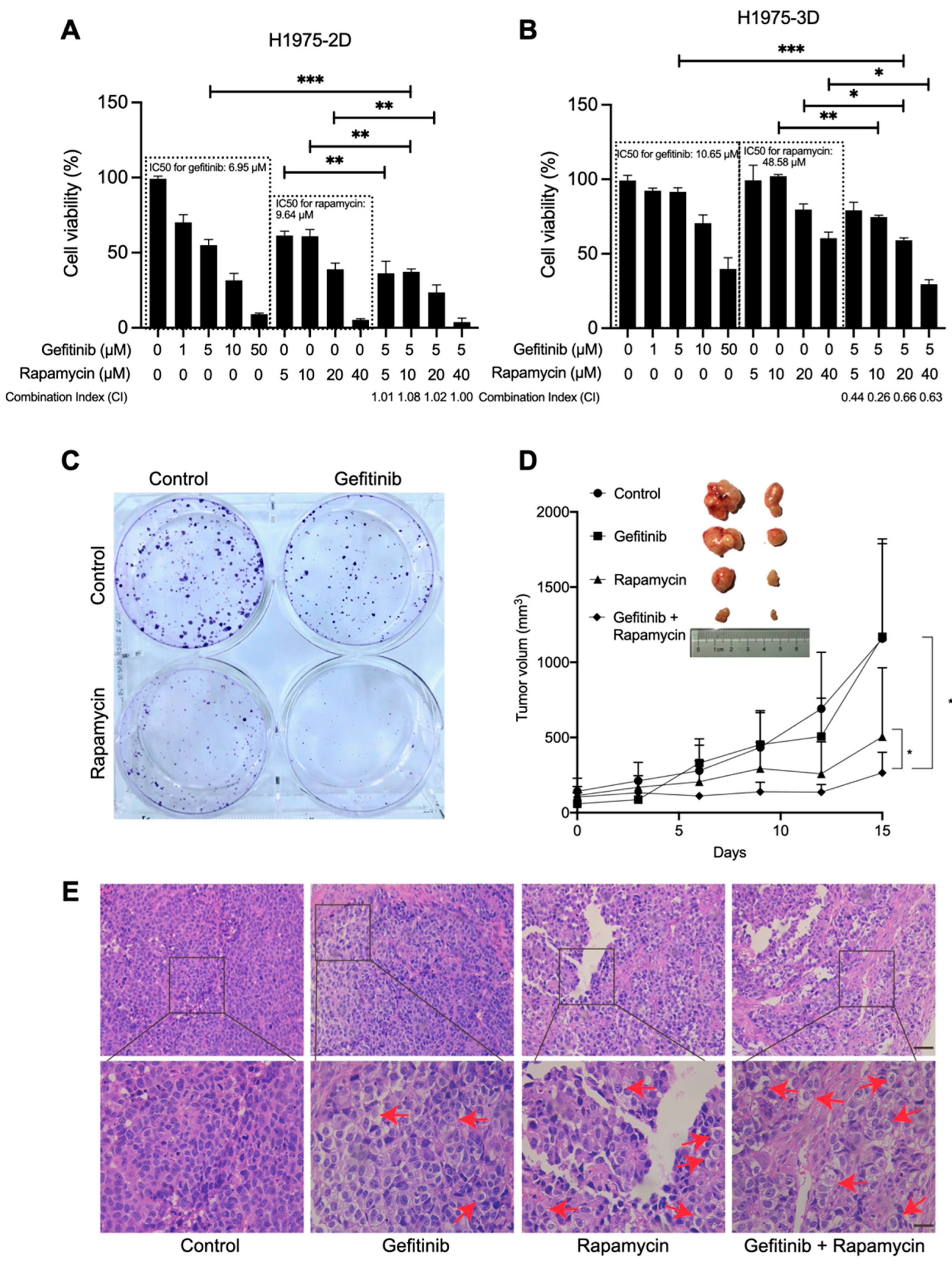 Ijms 23 08025 g001 550