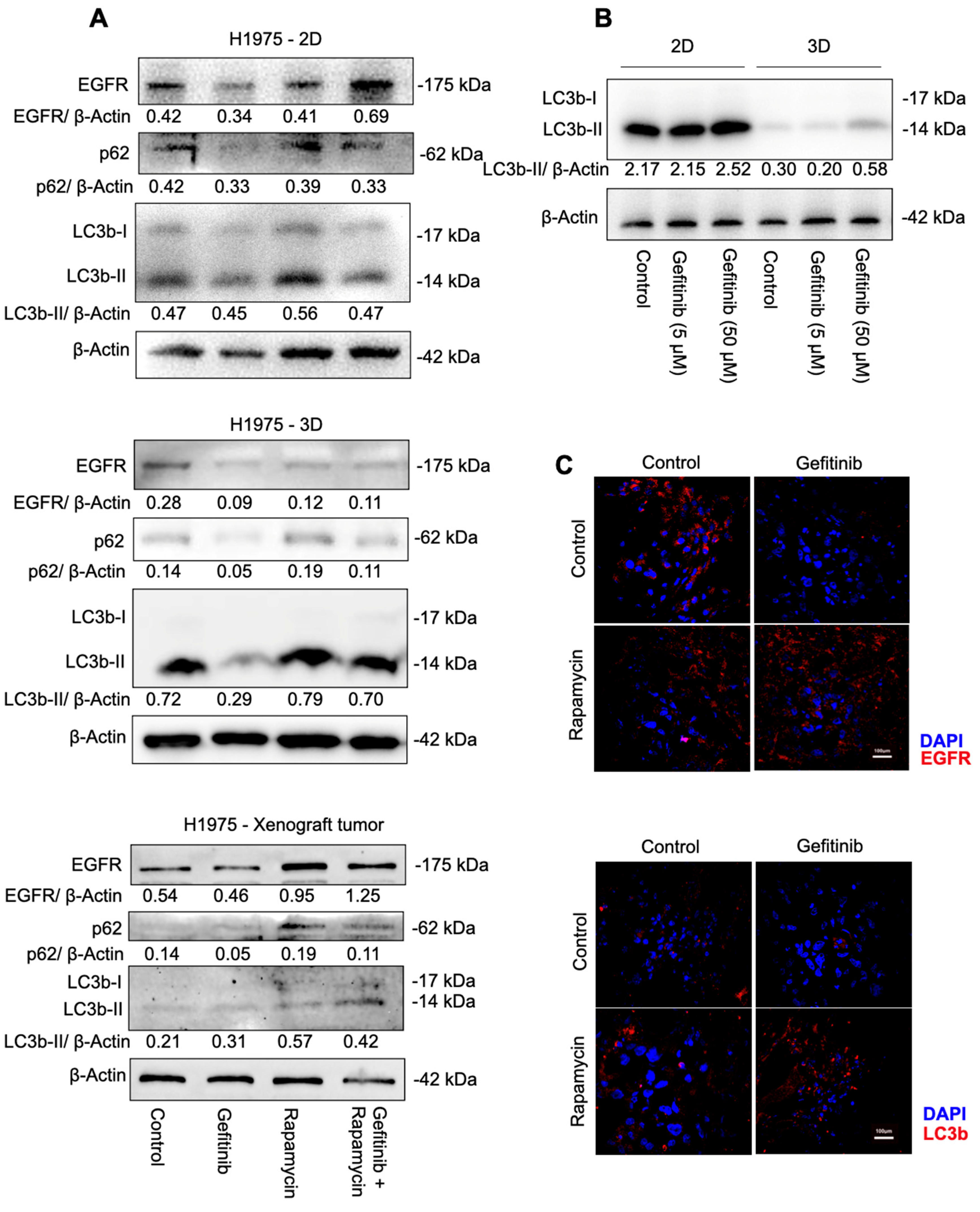 Ijms 23 08025 g002 550