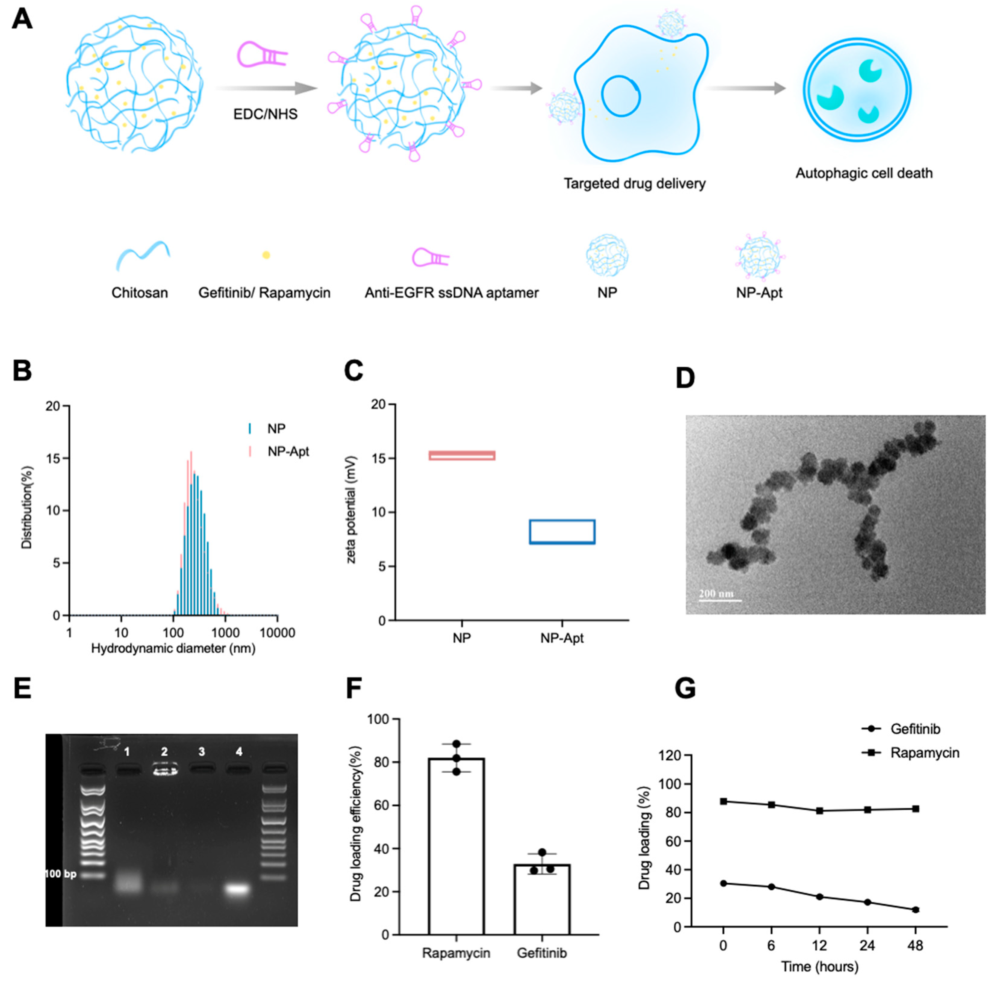 Ijms 23 08025 g003 550