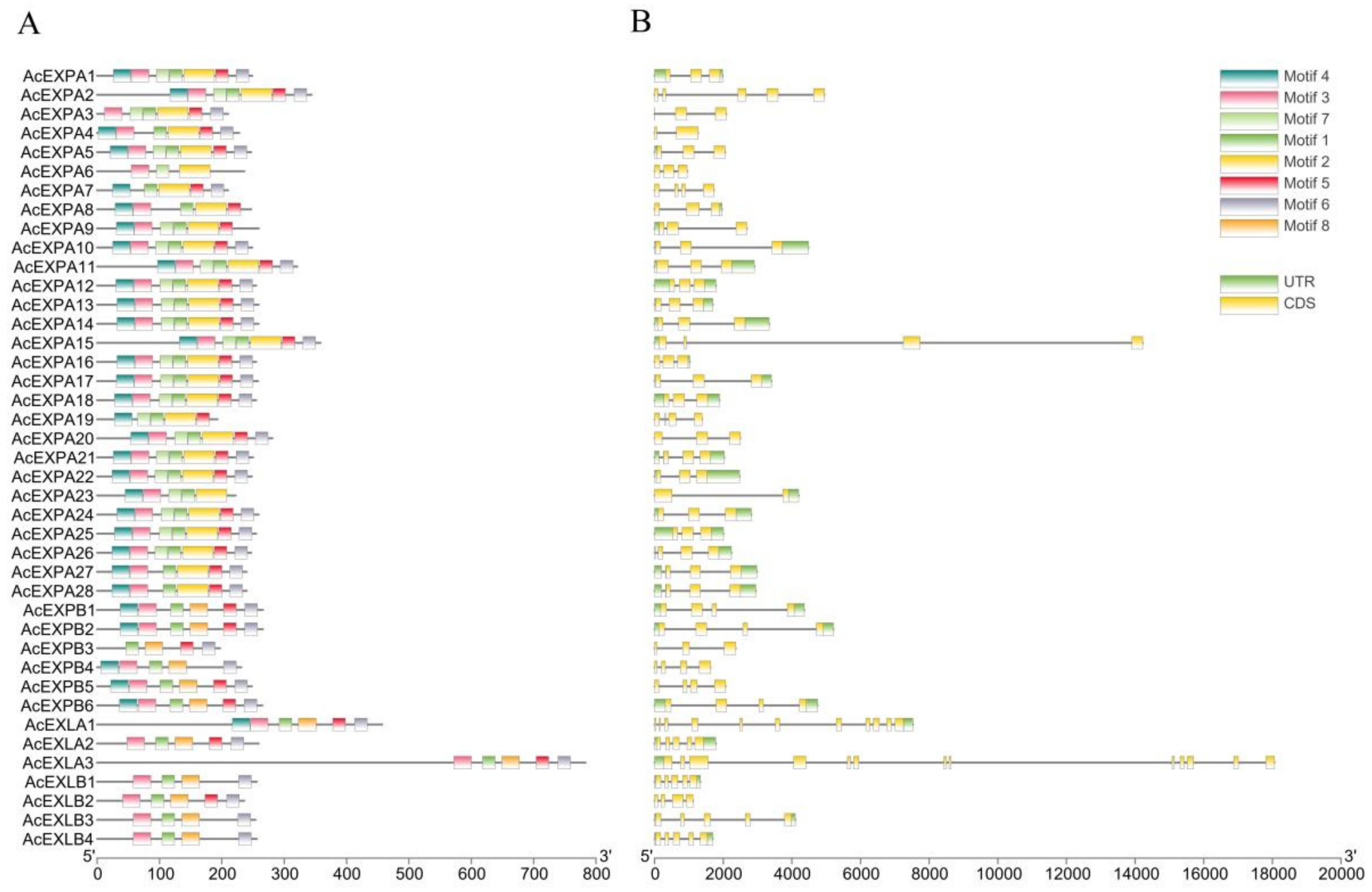 Ijms 23 08026 g003 550