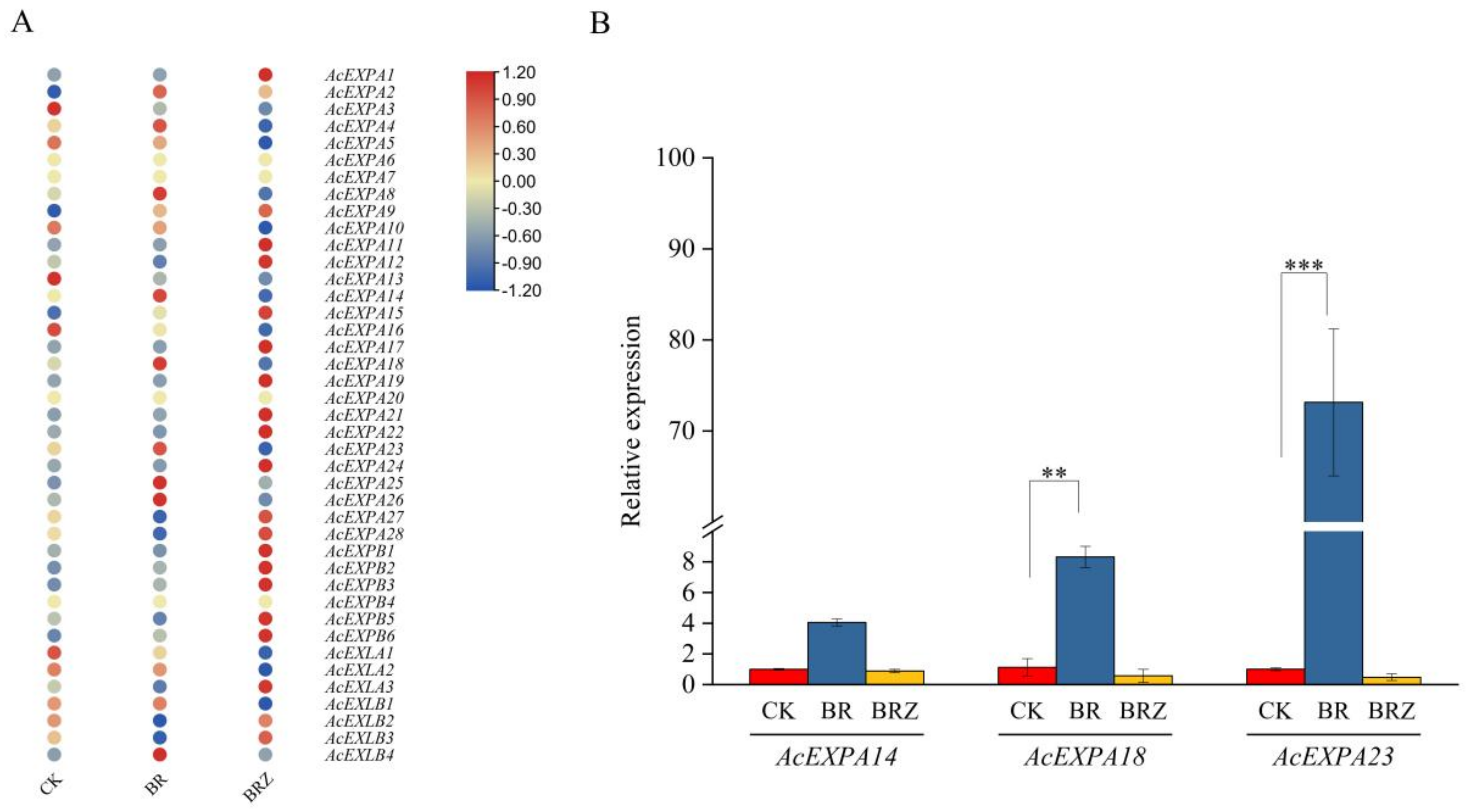 Ijms 23 08026 g005 550