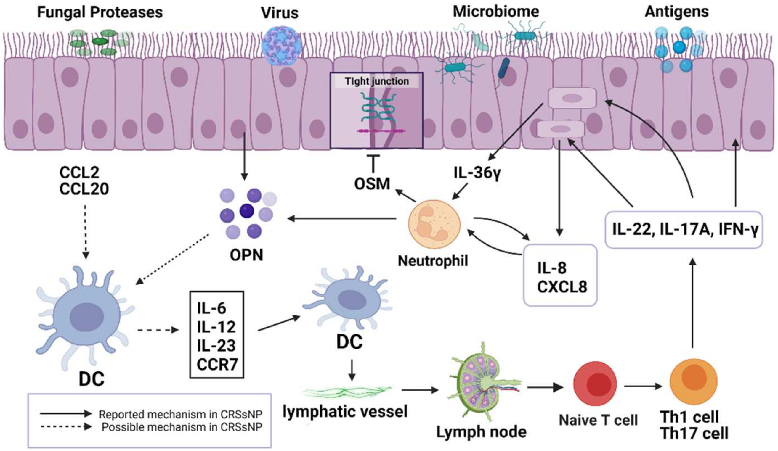 Ijms 23 08032 g002 Ijms 23 08032 g002