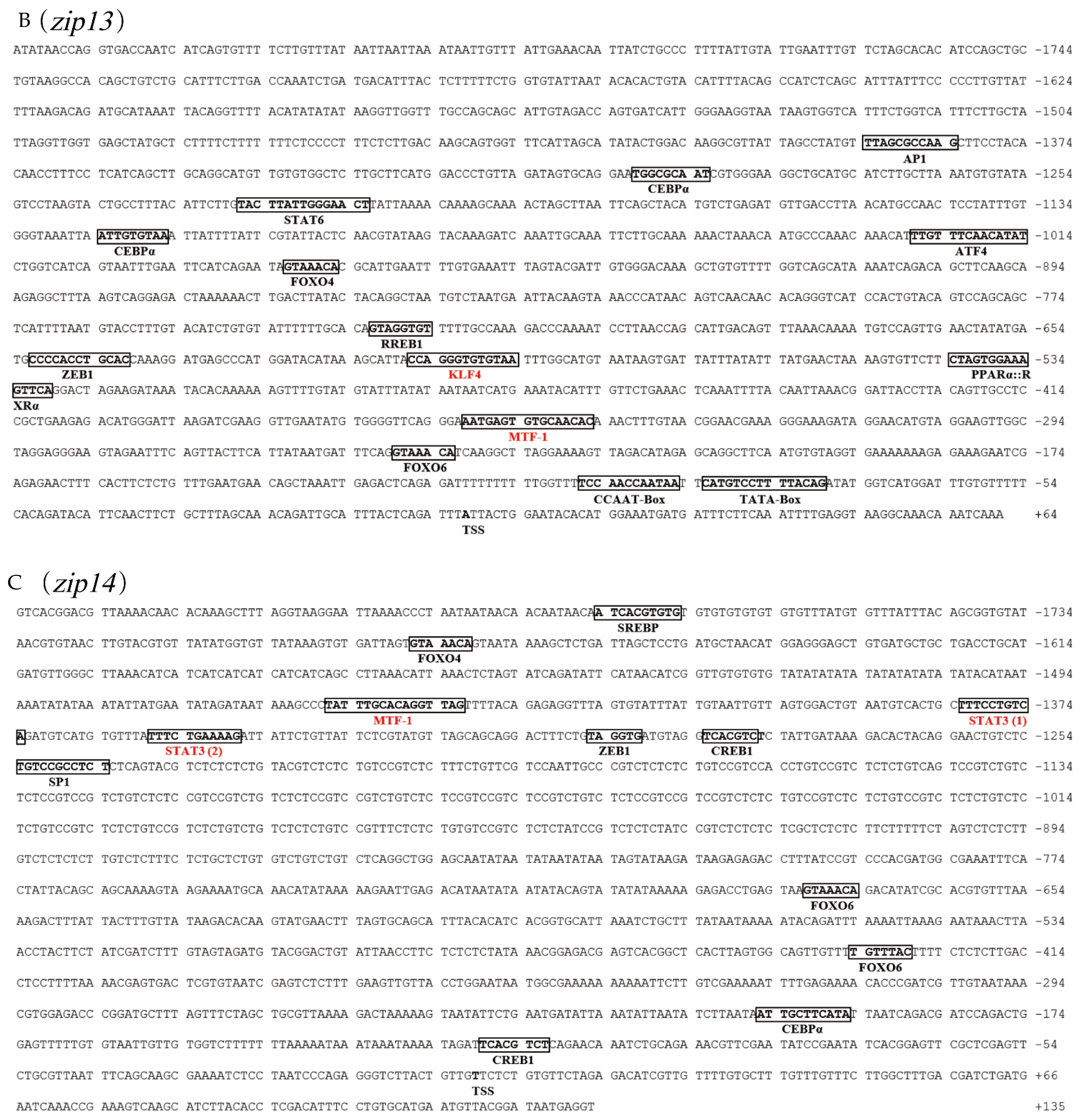 Ijms 23 08034 g001b 550