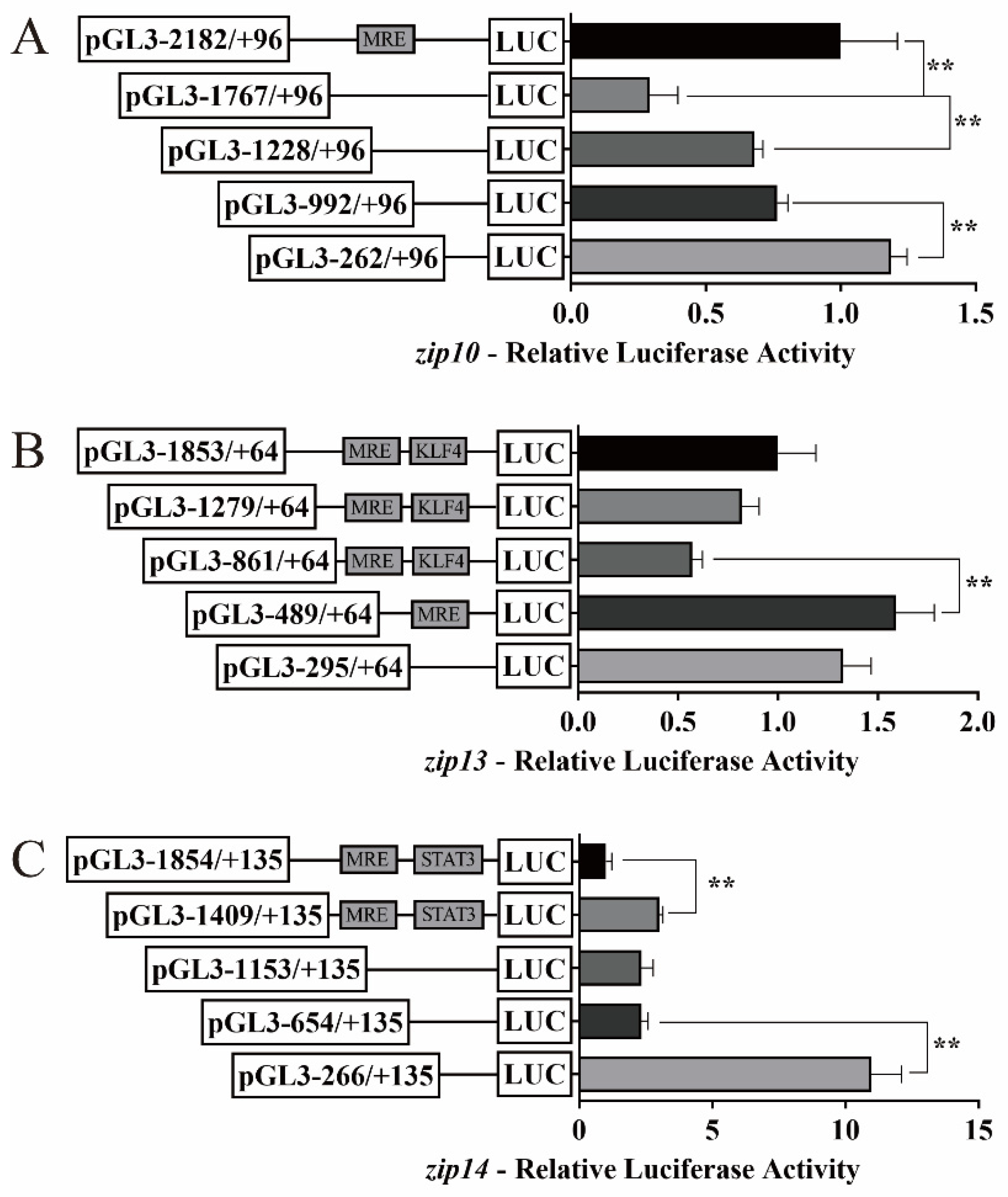 Ijms 23 08034 g002 550