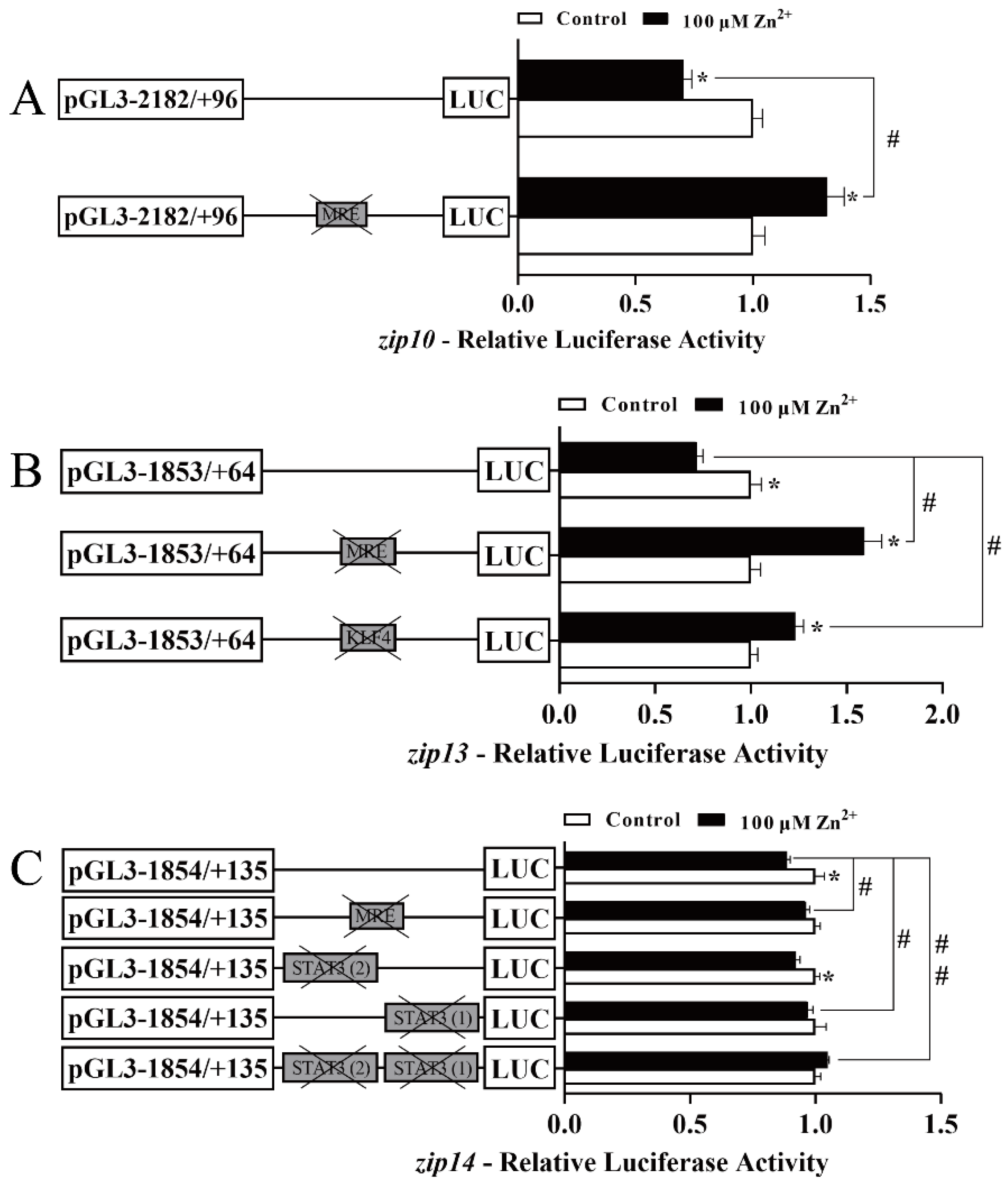 Ijms 23 08034 g004 550