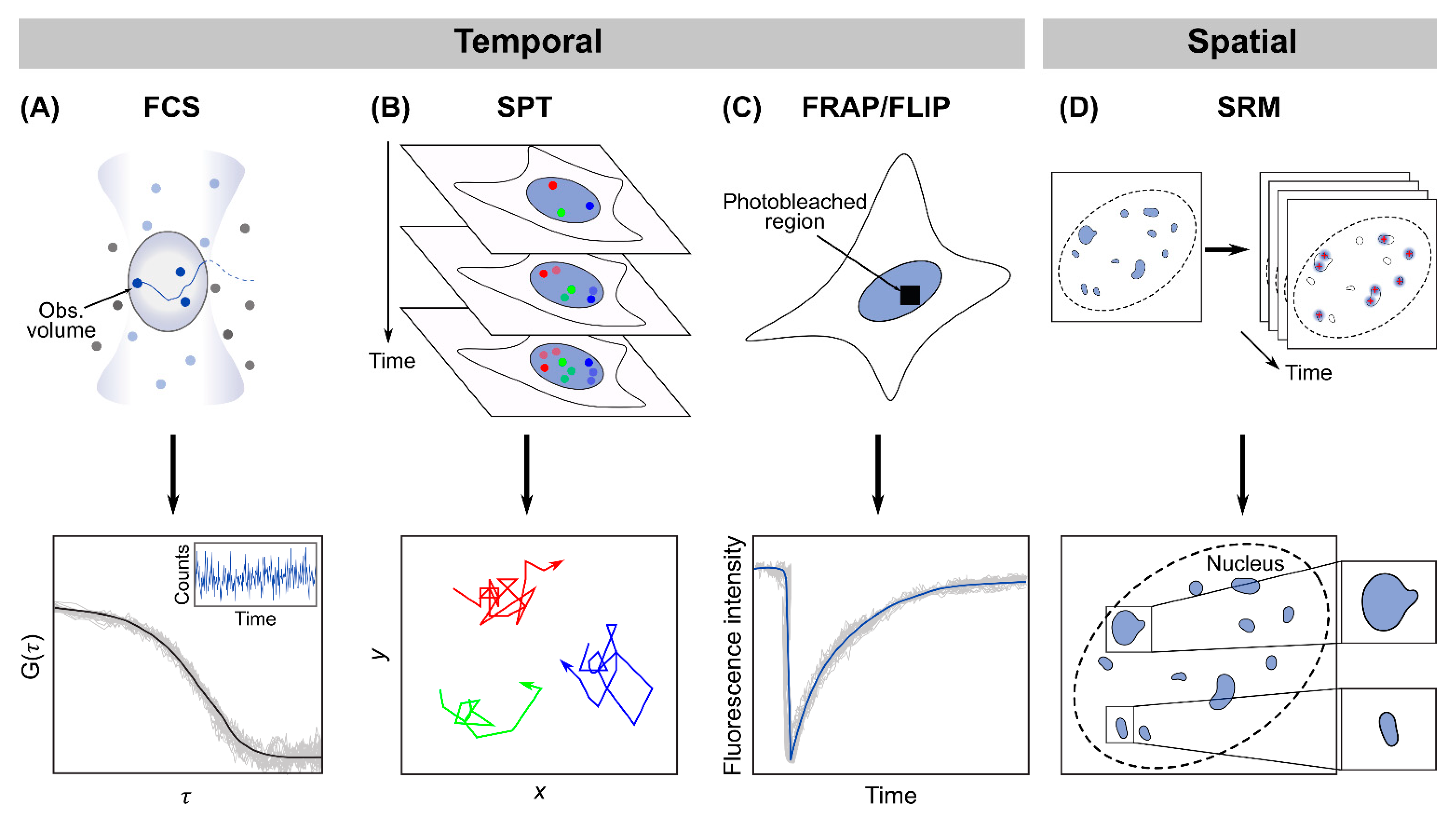 Ijms 23 08039 g002 Ijms 23 08039 g002