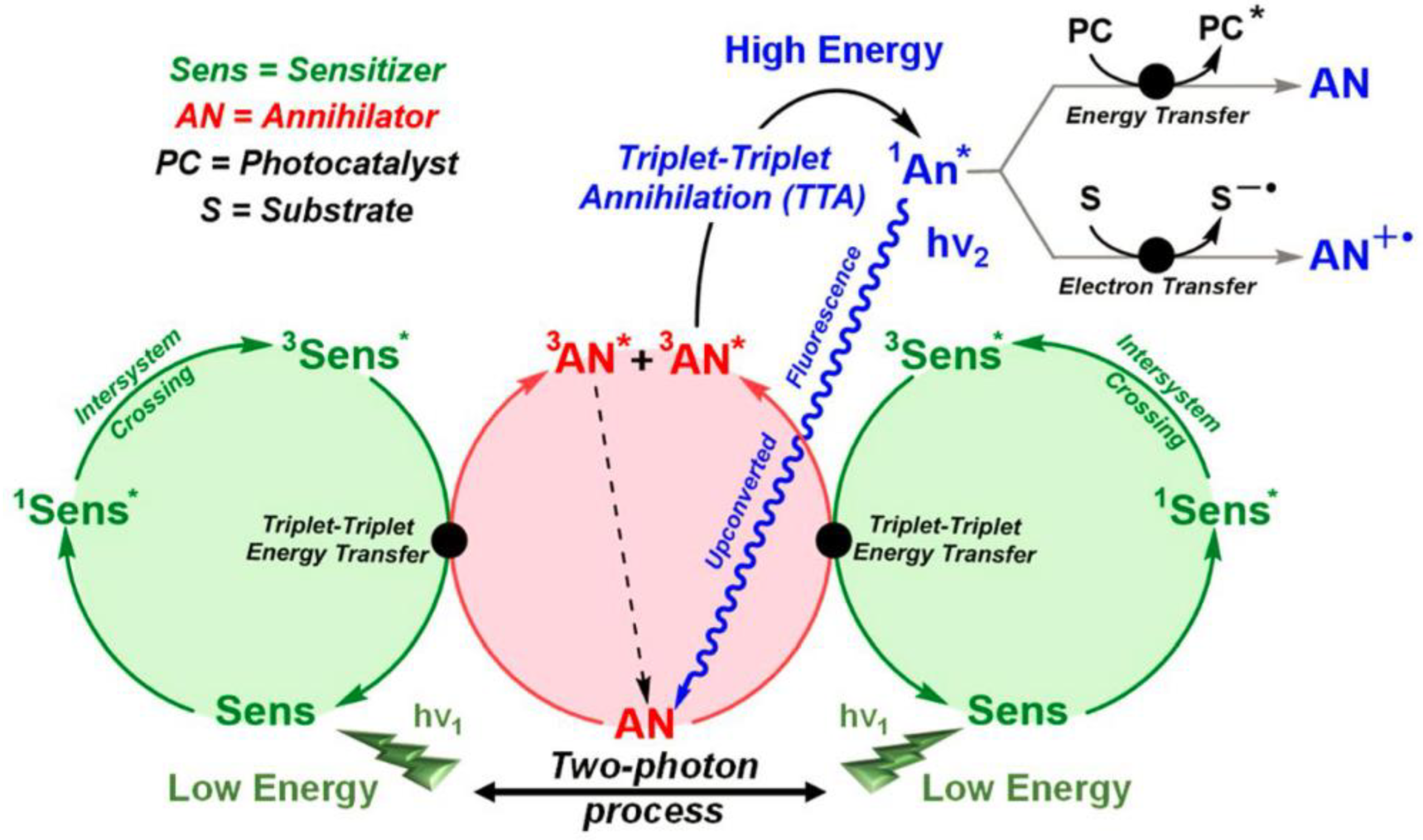 Ijms 23 08041 g001 550
