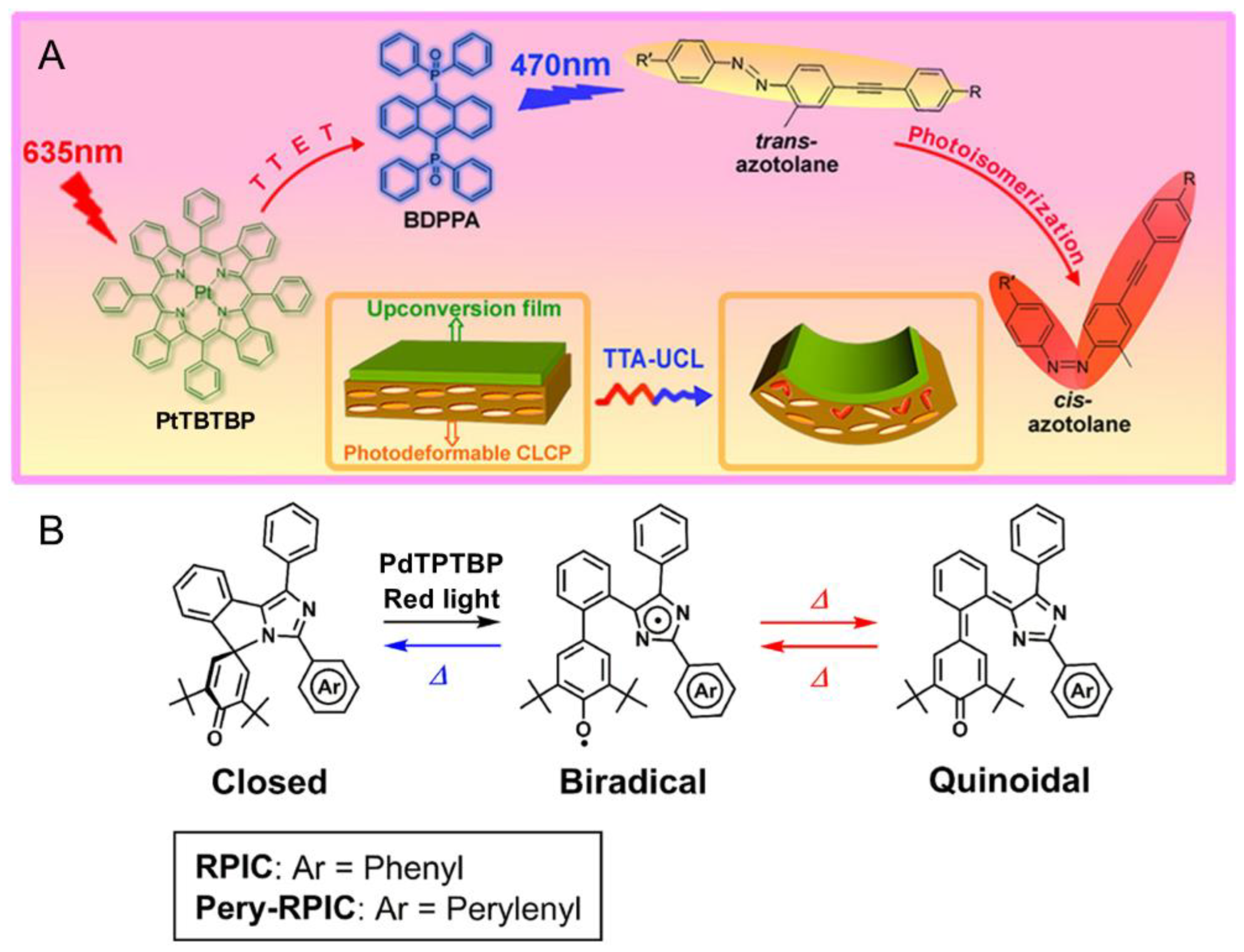 Ijms 23 08041 g003 550