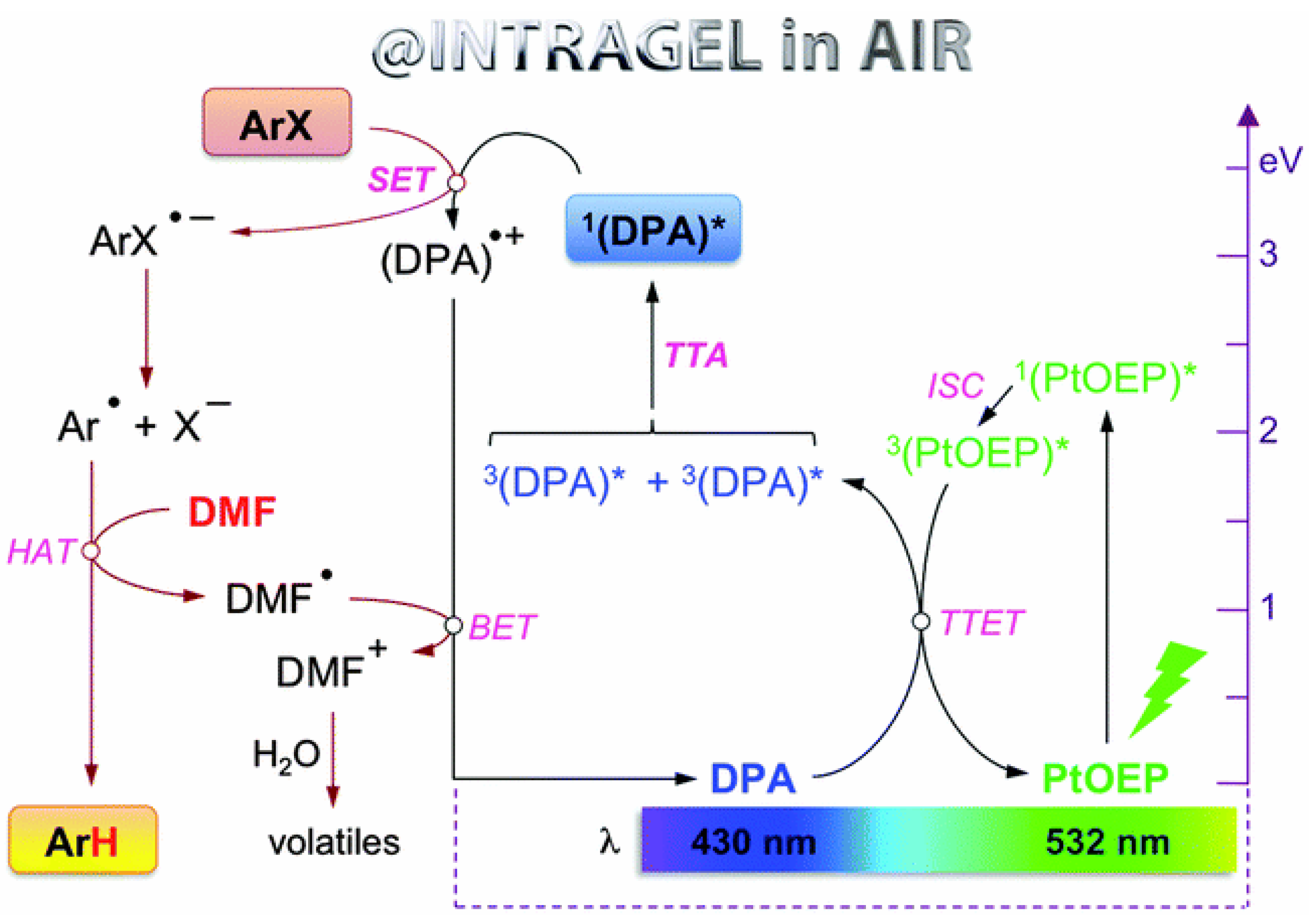 Ijms 23 08041 g004 550