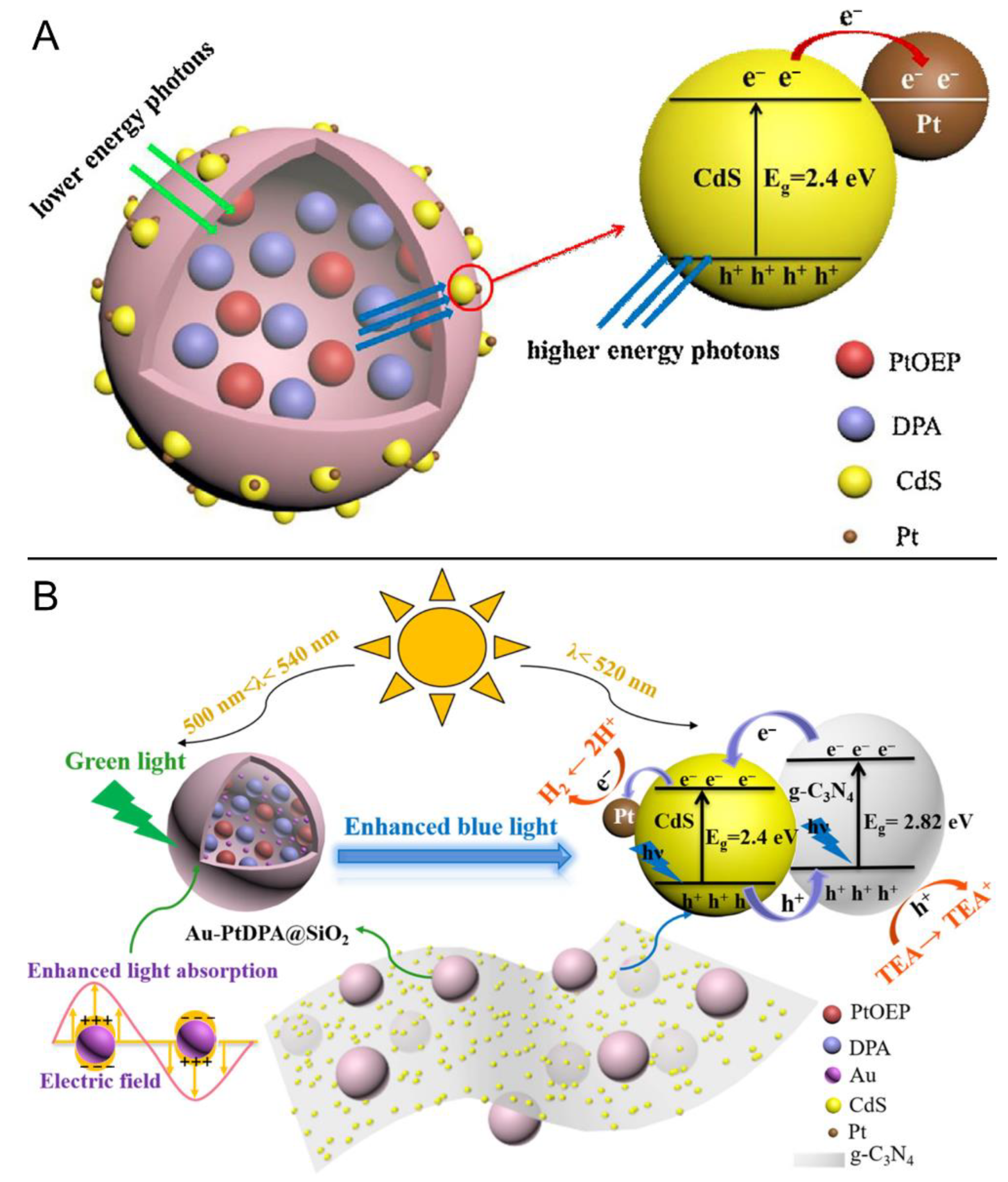 Ijms 23 08041 g010 550